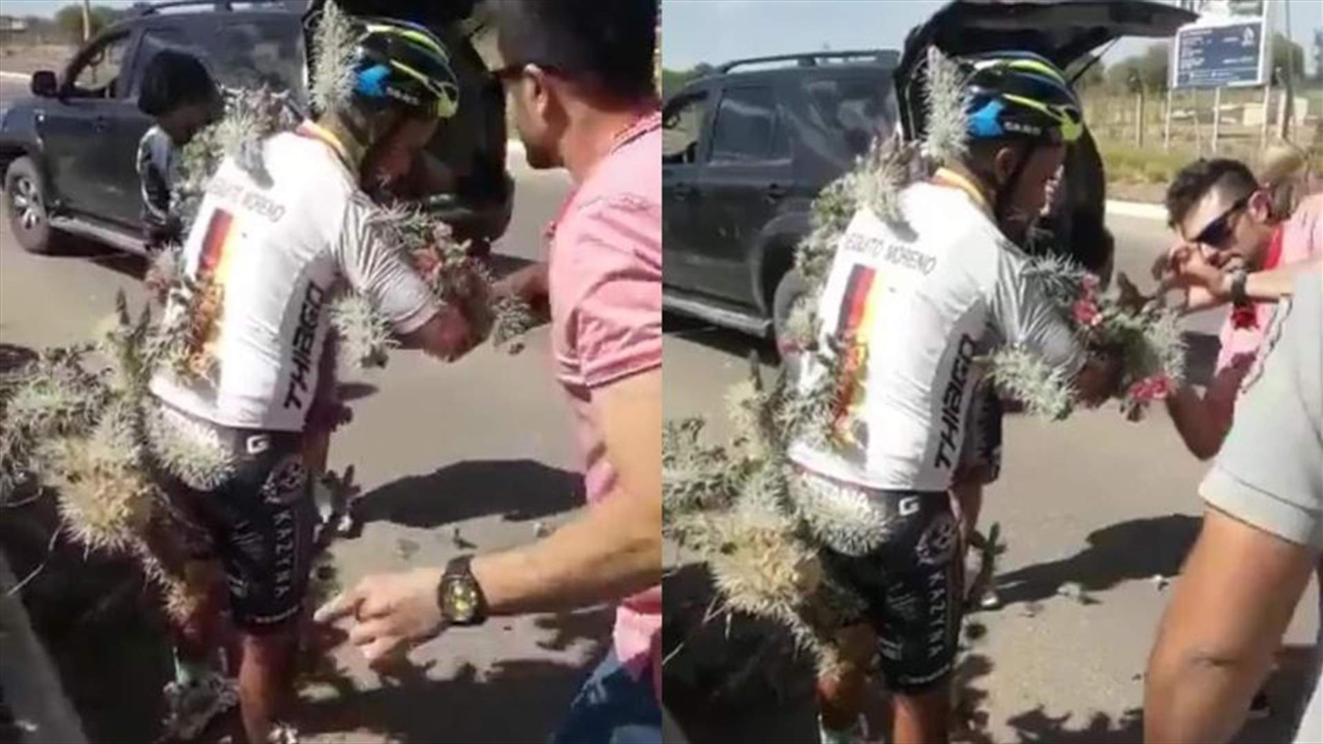 دراج يسقط في حفرة... آلاف أشواك الصبار غرزت في جسمه! (فيديو)