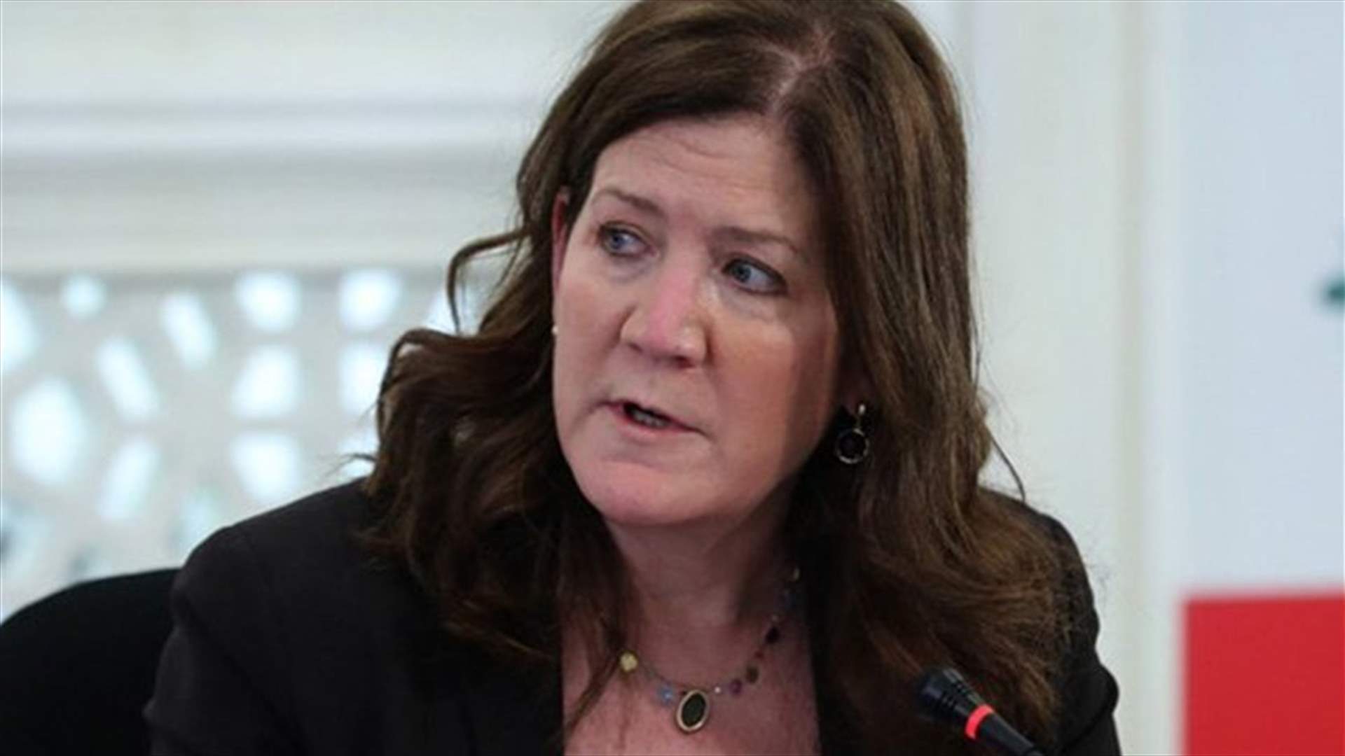 Shea: We did not support last government because it was formed by Hezbollah