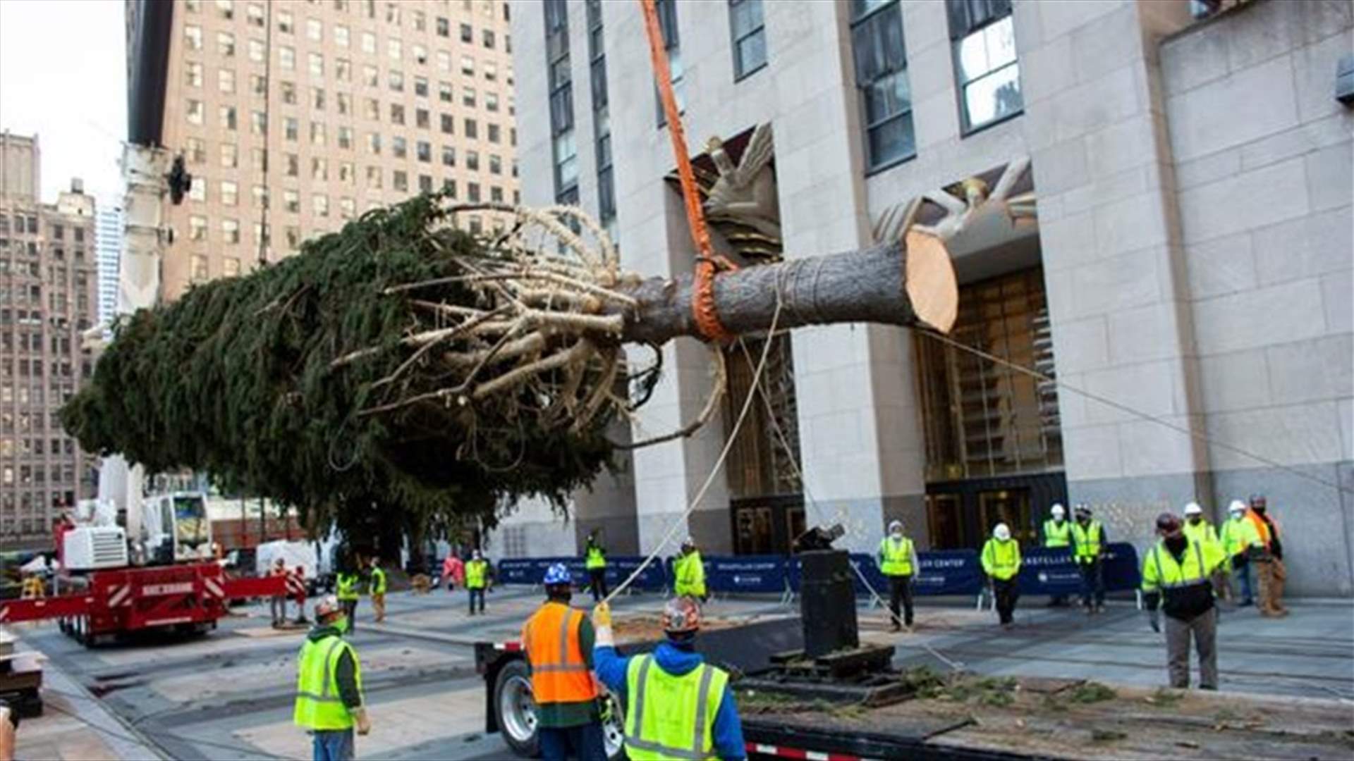 شجرة عيد الميلاد العملاقة في نيويورك تشيع البهجة بالمدينة بزمن كورونا