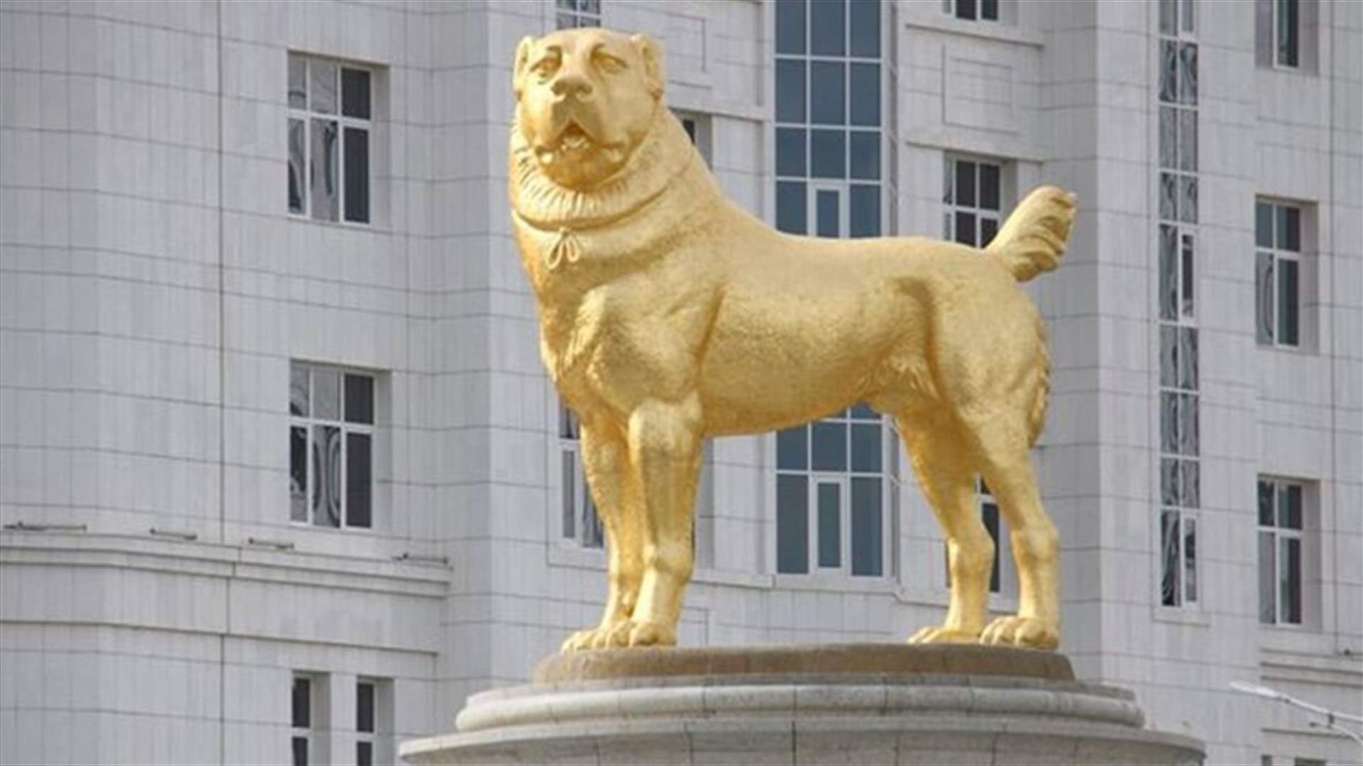 بتمثال ذهبي عملاق...زعيم تركمانستان يكرم سلالة الكلاب المفضلة لديه (صورة)