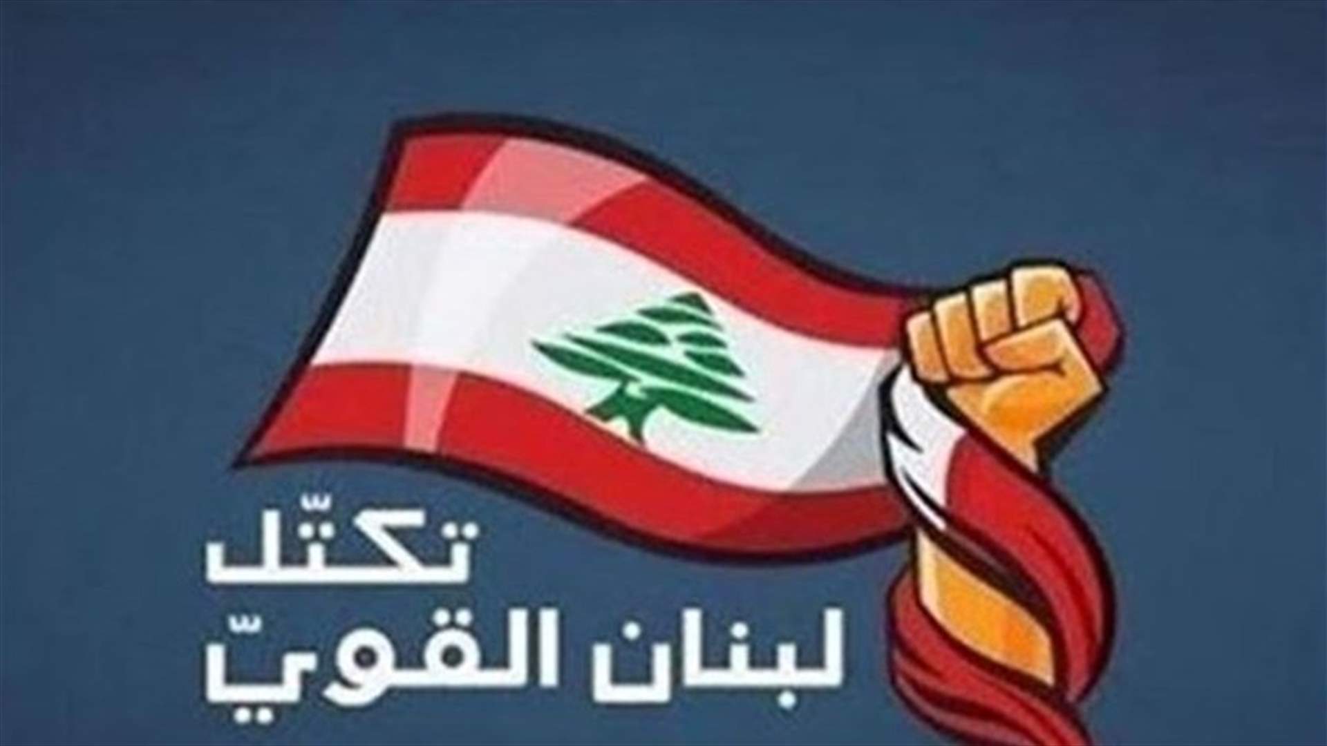 لبنان القوي: سنسقط كل الحجج امام التدقيق التشريحي