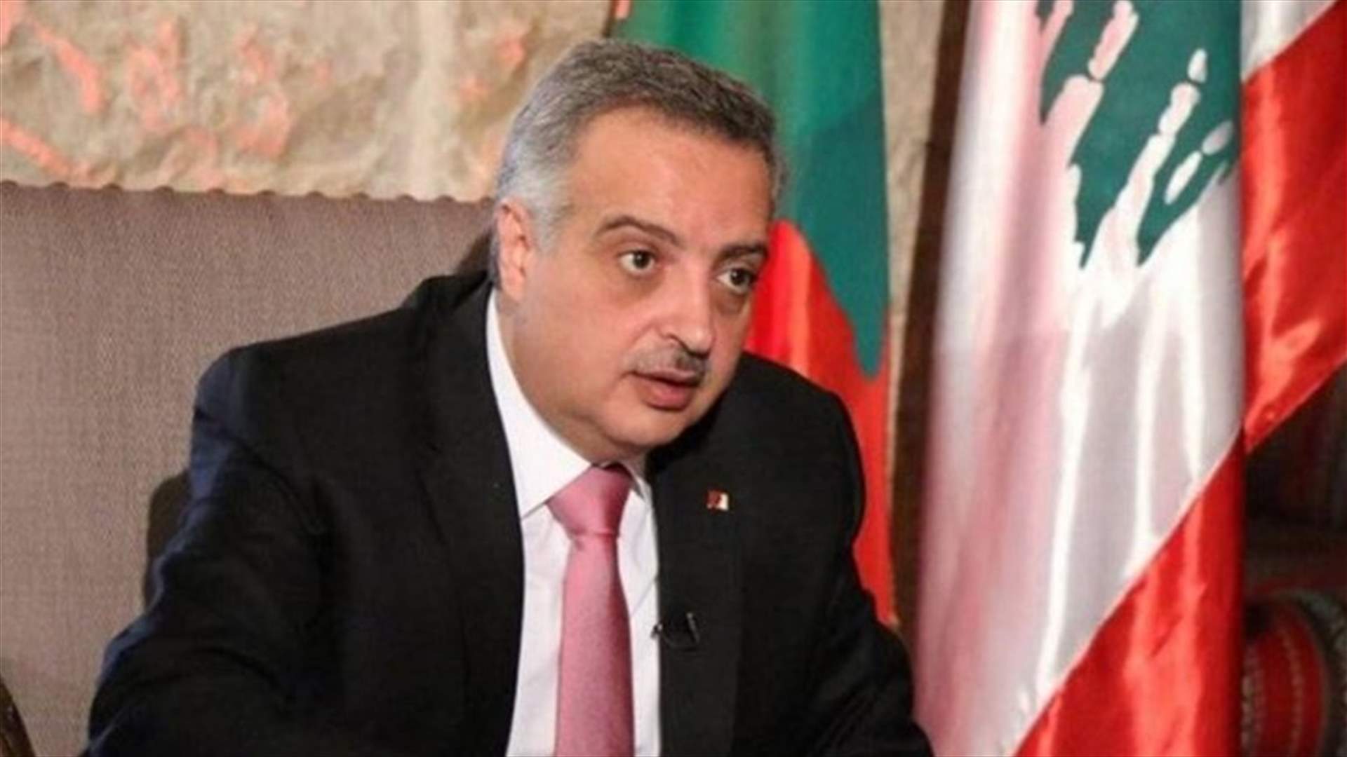 ارسلان: لا يجوز التأخير في التدقيق الجنائي الذي يجب ان يطال كل مؤسسات الدولة