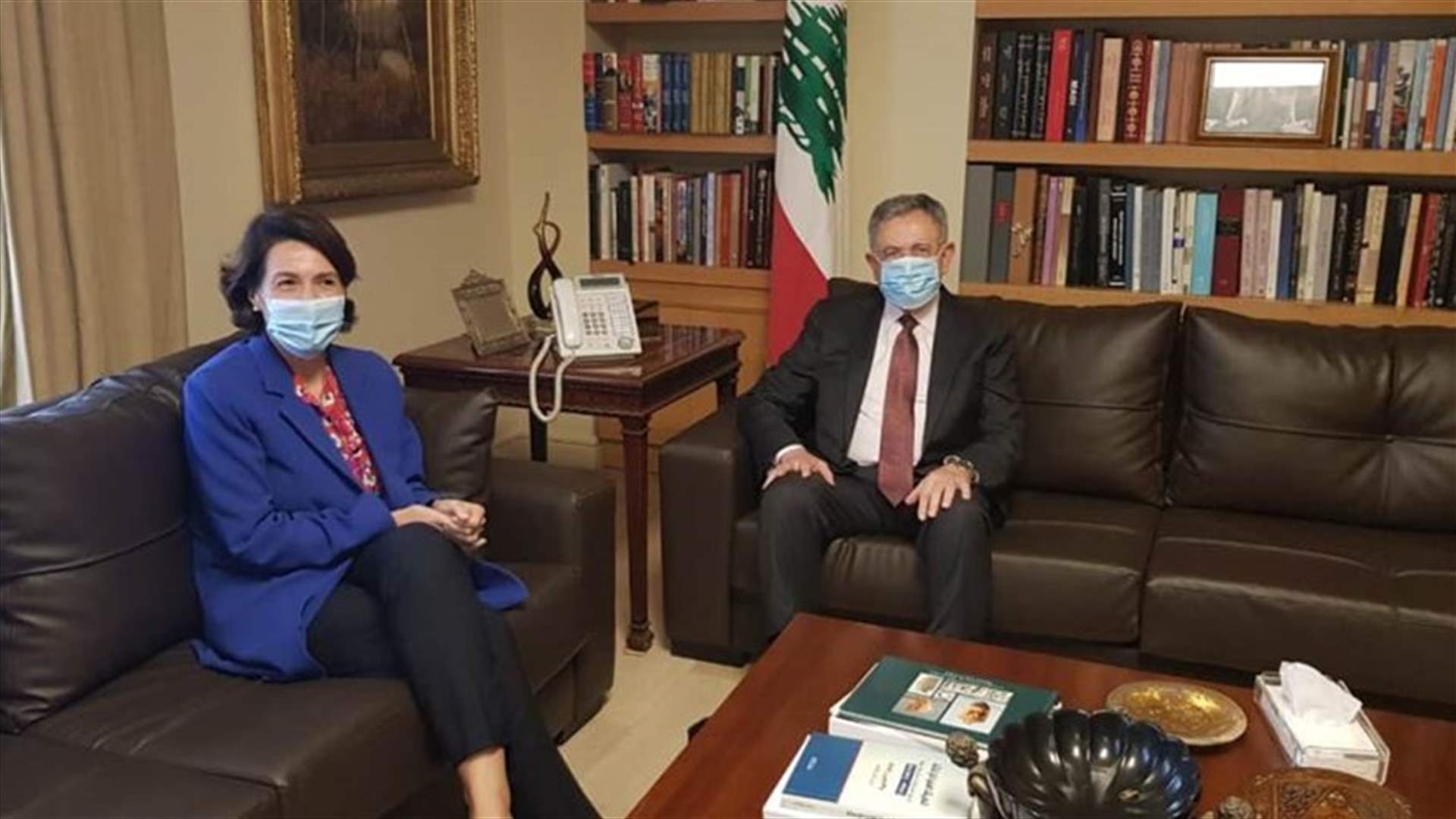 السنيورة عرض الاوضاع مع السفيرة الفرنسية