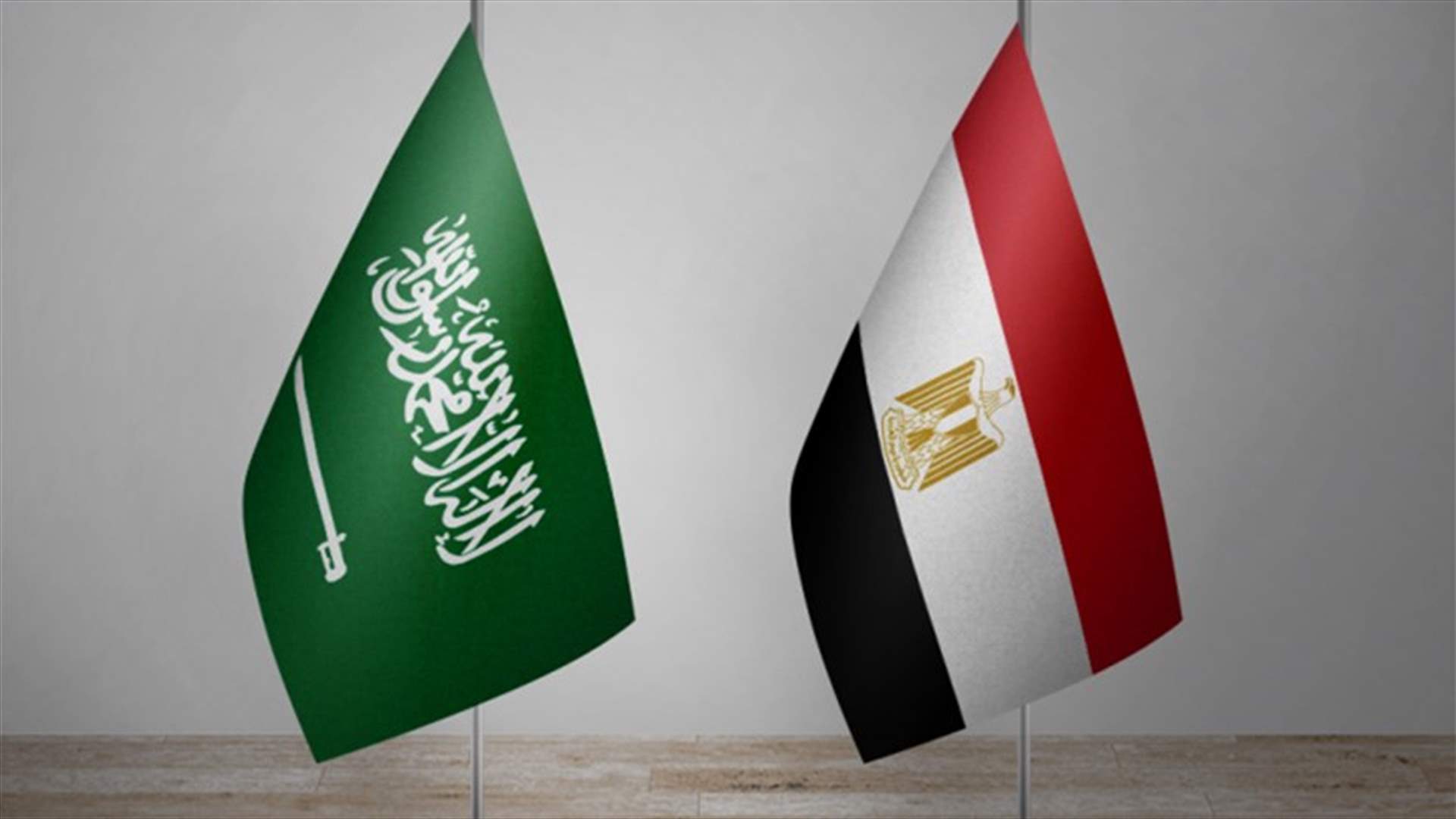 السعودية ومصر تؤكدان أهمية حرية الملاحة في الخليج والبحر الأحمر
