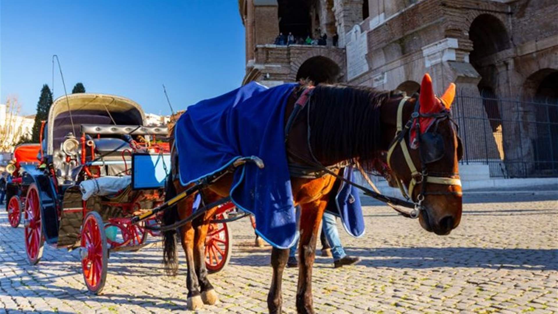 لهذا السبب... روما تحظر سير عربات تجرّها الخيول ‏في شوارعها