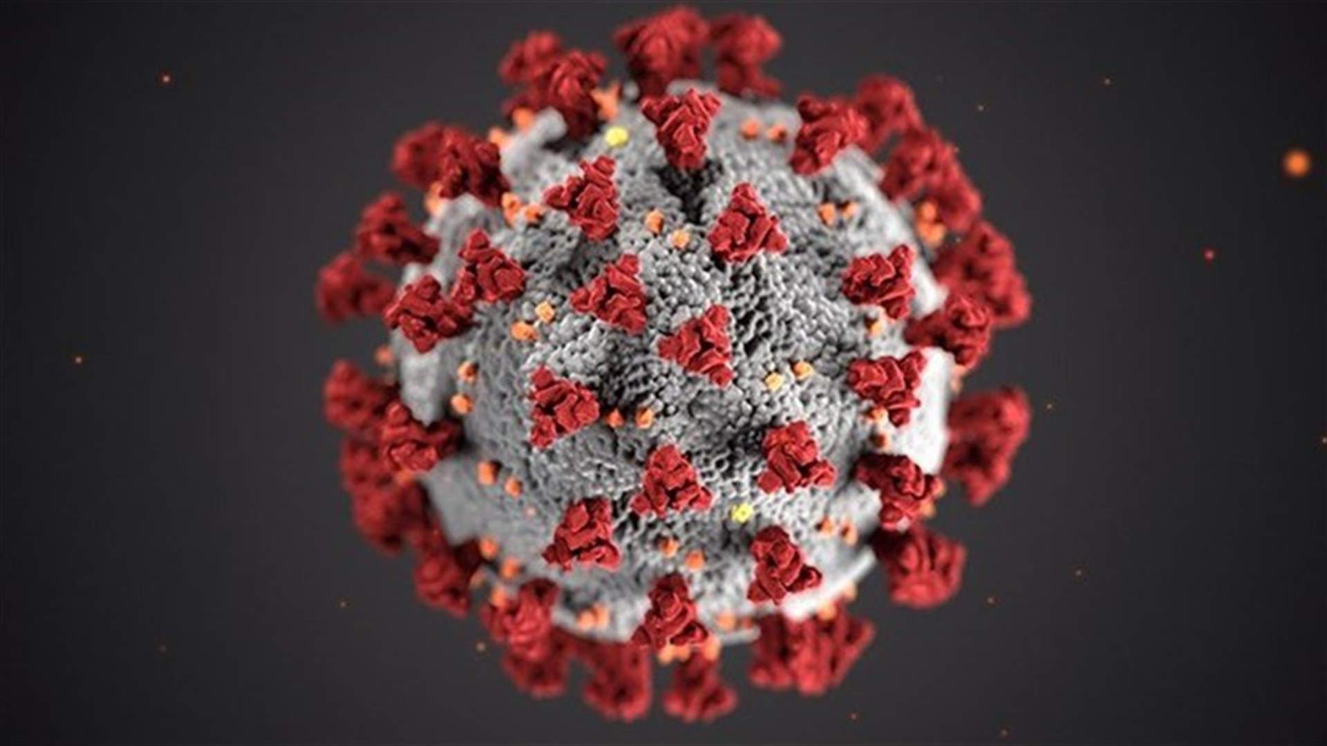 The daily report on coronavirus in Lebanon