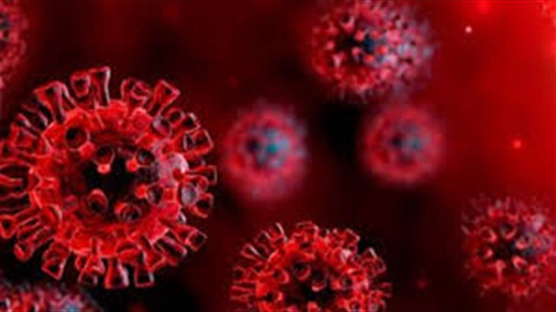 استمرار اقفال دائرة المساحة في سرايا صيدا بانتظار نتائج فحوص الكورونا غدا