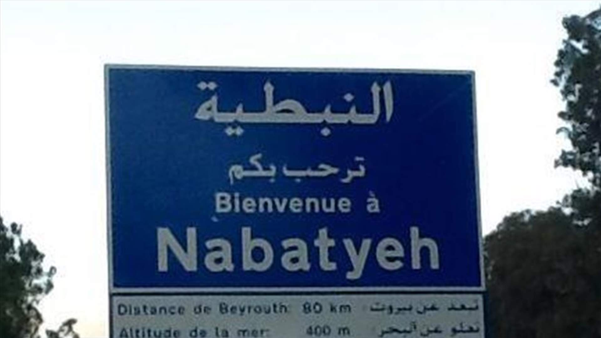 محافظ النبطية يطلب اقفال المصلحة المالية اسبوعا ...