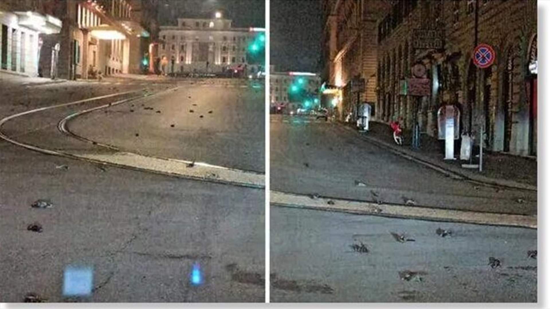 'It's sad': Eyewitness films hundreds of dead birds in Rome streets