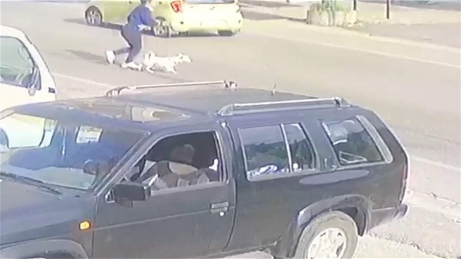 حادث صدم في عين الدلب - صيدا... وفيديو يوثّق المشهد