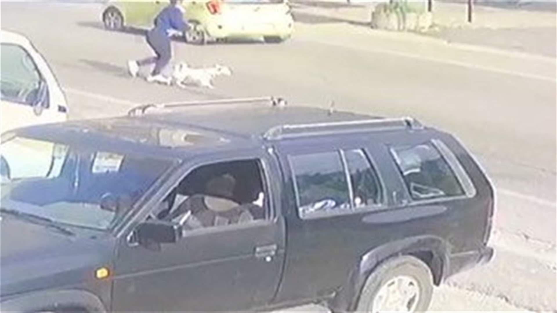 Woman hit by a car in Sidon-[VIDEO]