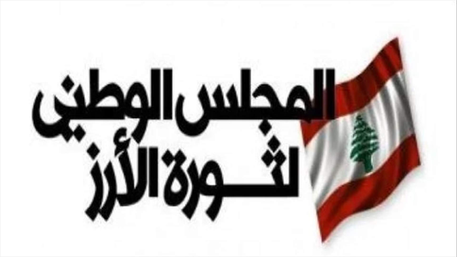 المجلس الوطني لثورة الأرز: السلطة القائمة تخرق الدستور ما يستدعي المساءلة القانونية