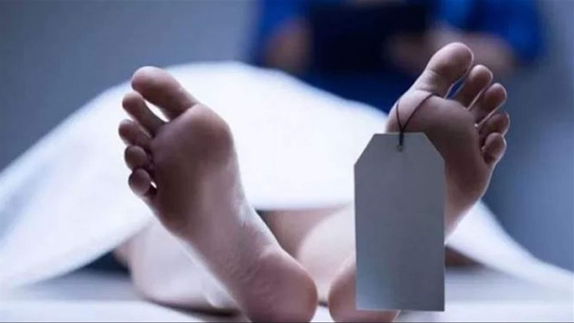 في دبي... حشرة تحل لغز جريمة قتل