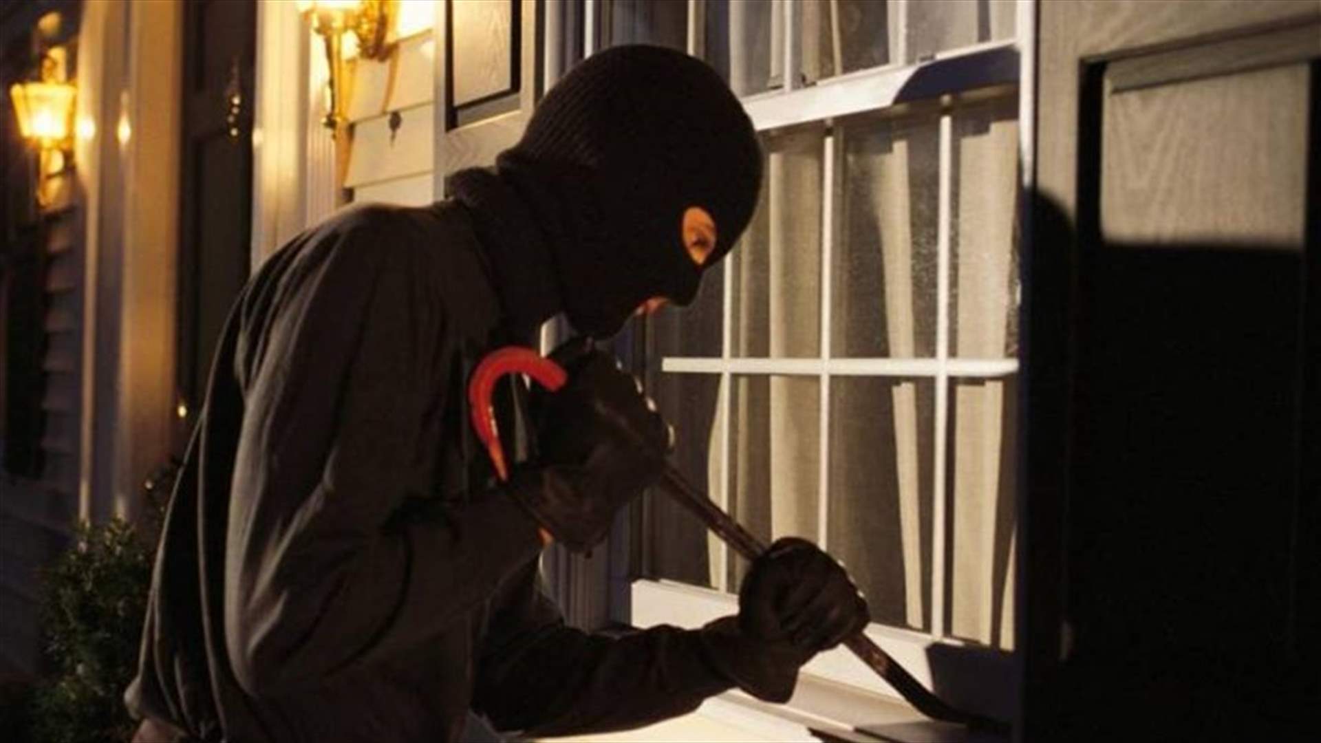 سرقوا ما يقارب 700 دجاجة منتجة للبيض ... ماذا حصل؟