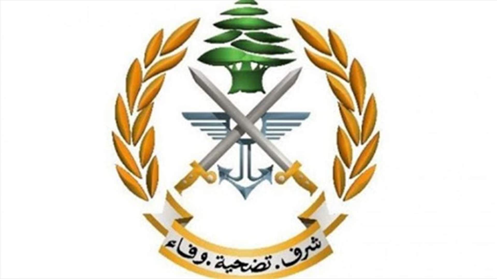 عمليات دهم وتوقيف مطلوبين في بلدة حورتعلا - البقاع