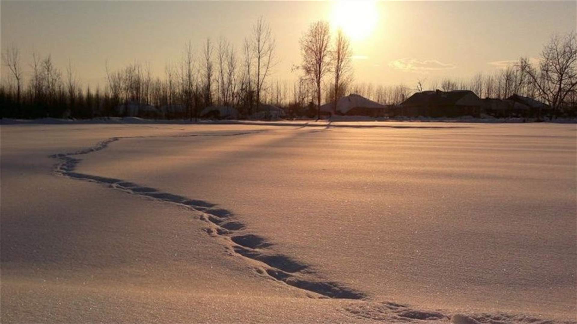 لهذا السبب... عداء ركض حافي القدمين على الثلج!