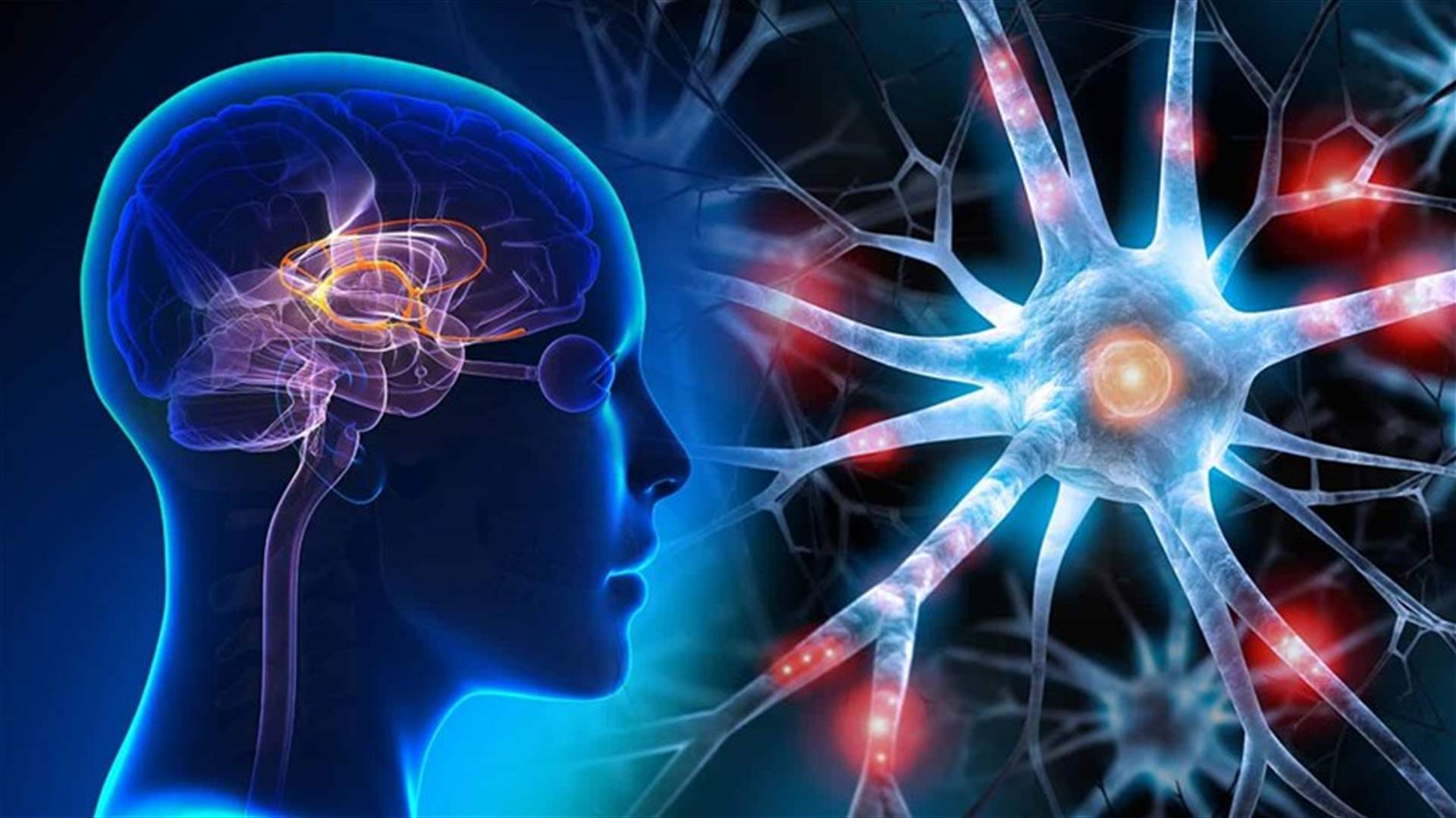تعزيز قوة الدّماغ... إليكم أفضل الأطعمة والعادات اليومية!