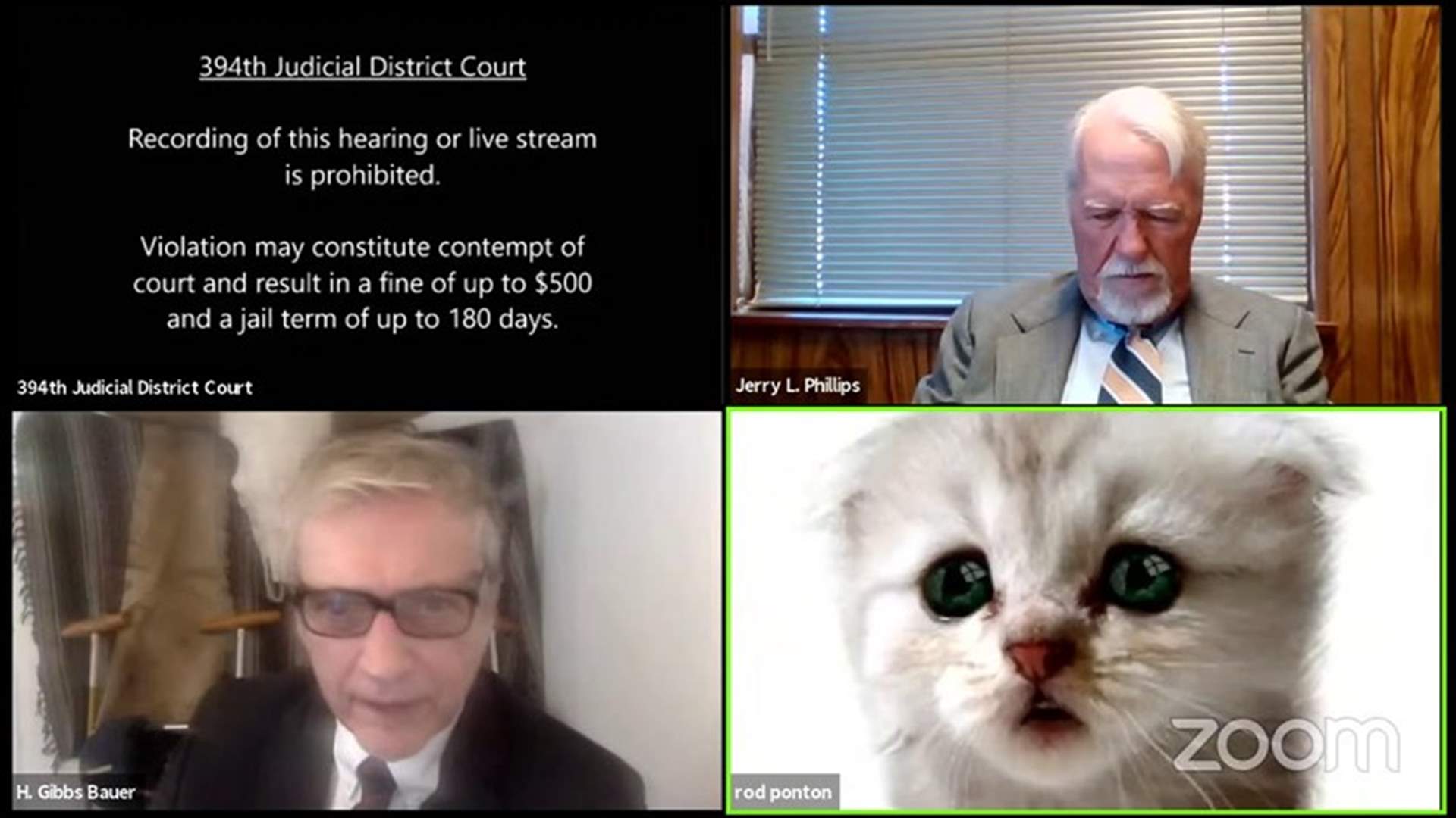 &quot;أنا لستُ قطة&quot;... محامٍ يتعرّض لموقفٍ حرجٍ خلال جلسة محاكمة عن بعد (فيديو)