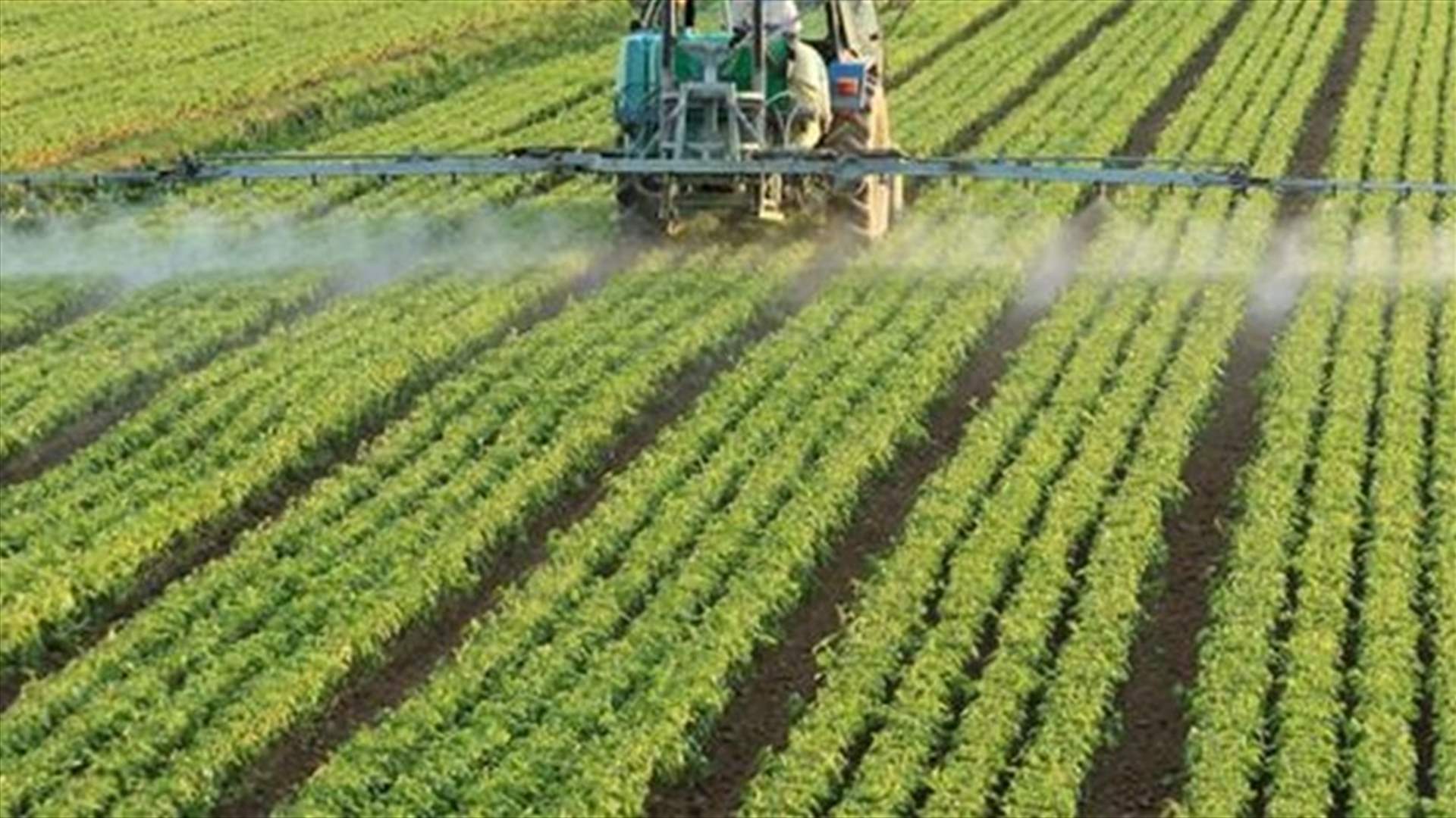 هل فعلاً اتخذ المعنيون القرار بالترشيد من باب القطاع الزراعي؟