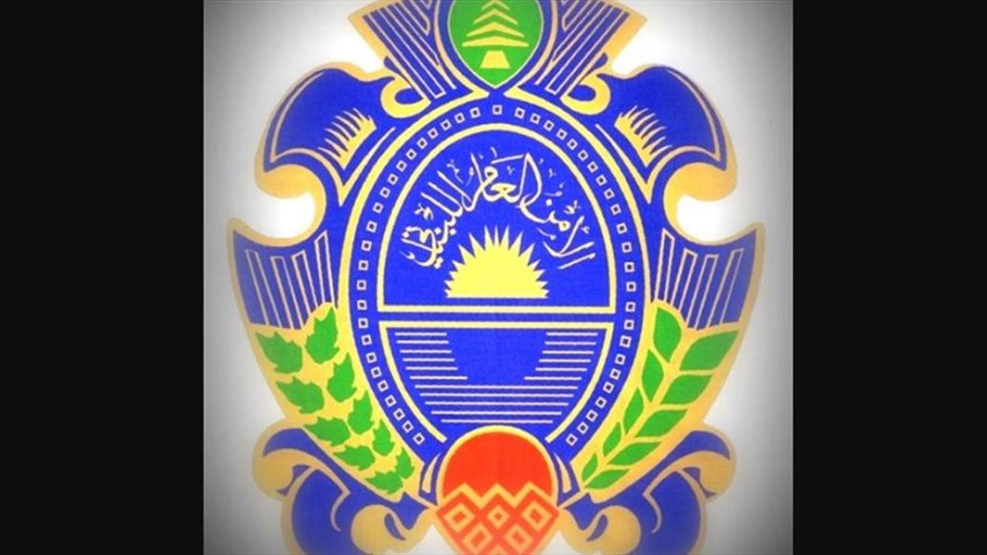 الامن العام: وجوب حيازة اللبنانيين العائدين من سوريا على فحص PCR سلبي