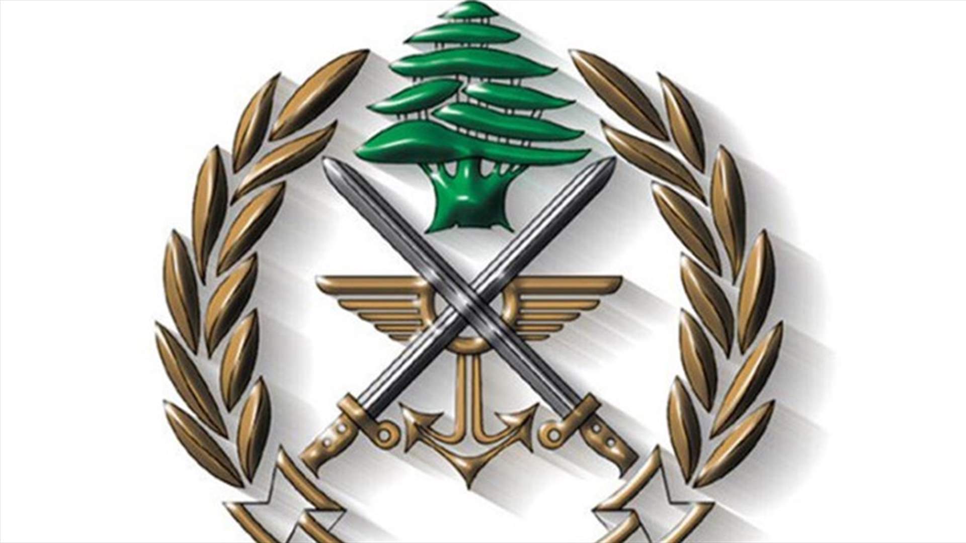 الجيش: مداهمة أحد المنازل في بلدة حورتعلا وتوقيف مطلوبين
