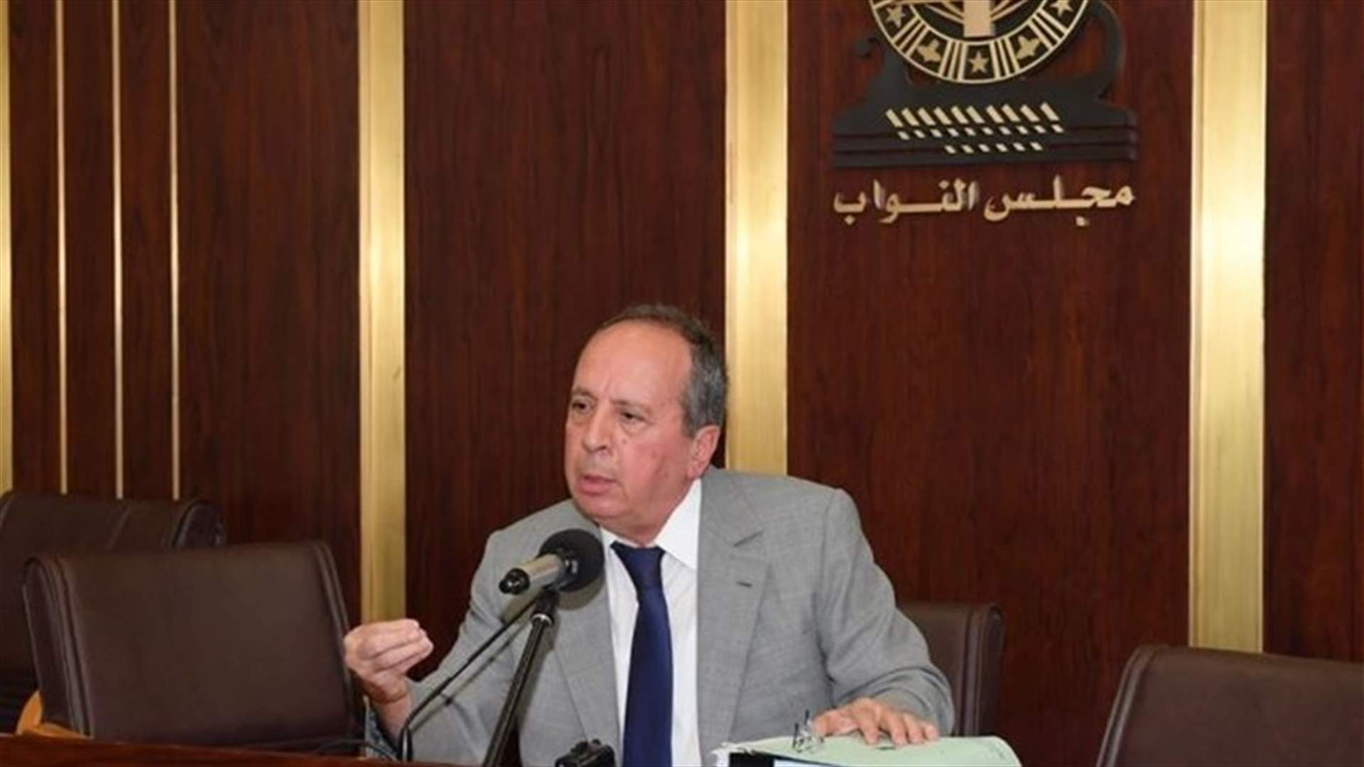 السيد عن الدعم: بقول دولة بدها قص رؤوس الكبار قبل الصغار.... بيجاوبوك مش هيك السياسة