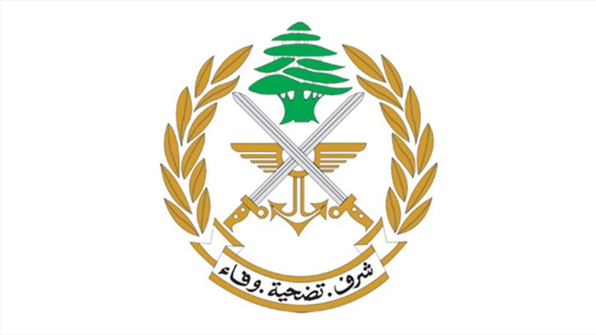 الجيش: توقيف مطلوبين في منطقتي بئر حسن والبوشرية