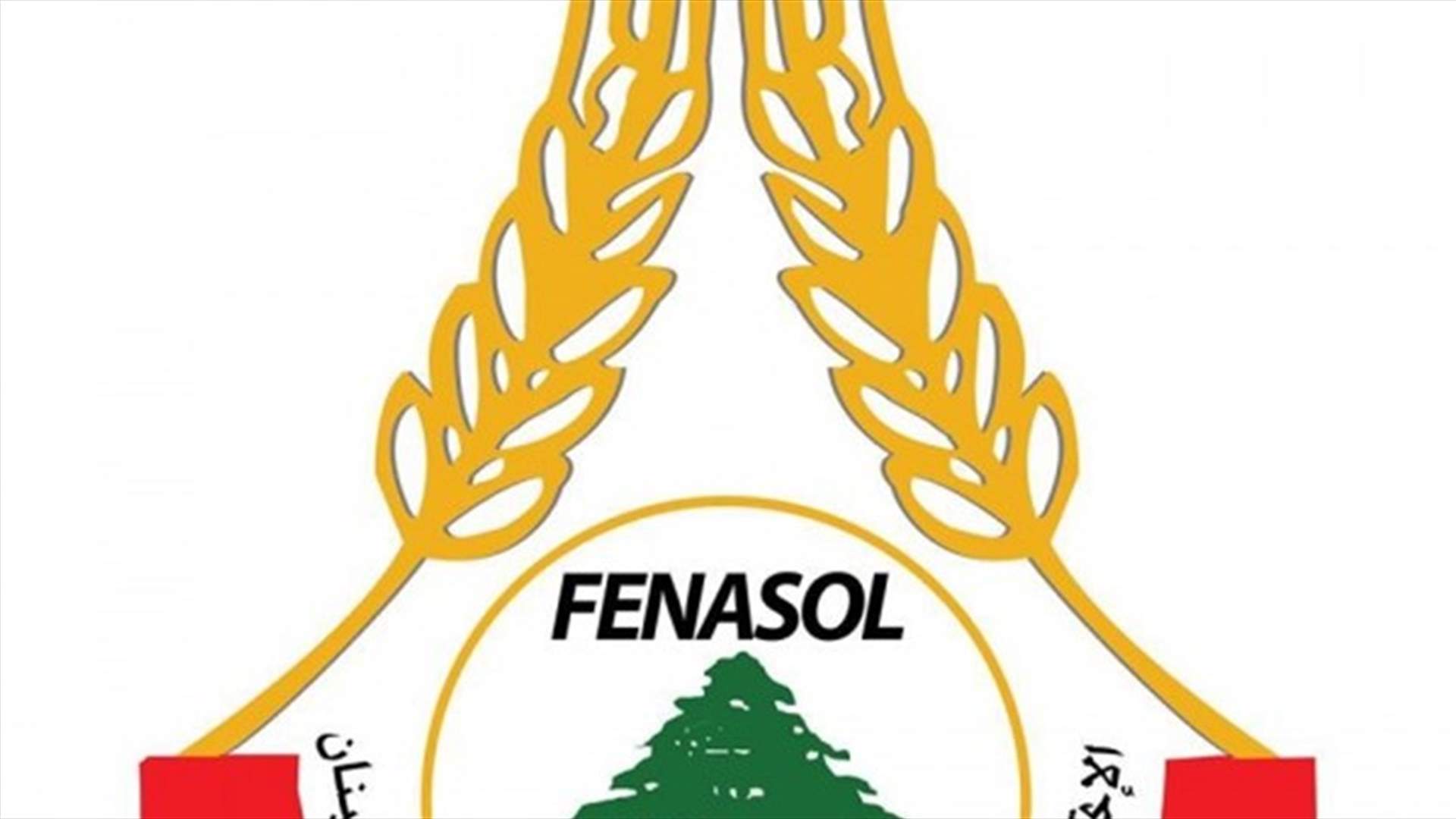 FENASOL : لرفع بدل النقل اليومي للعاملين في القطاعين الخاص والعام الى 20 الف ليرة