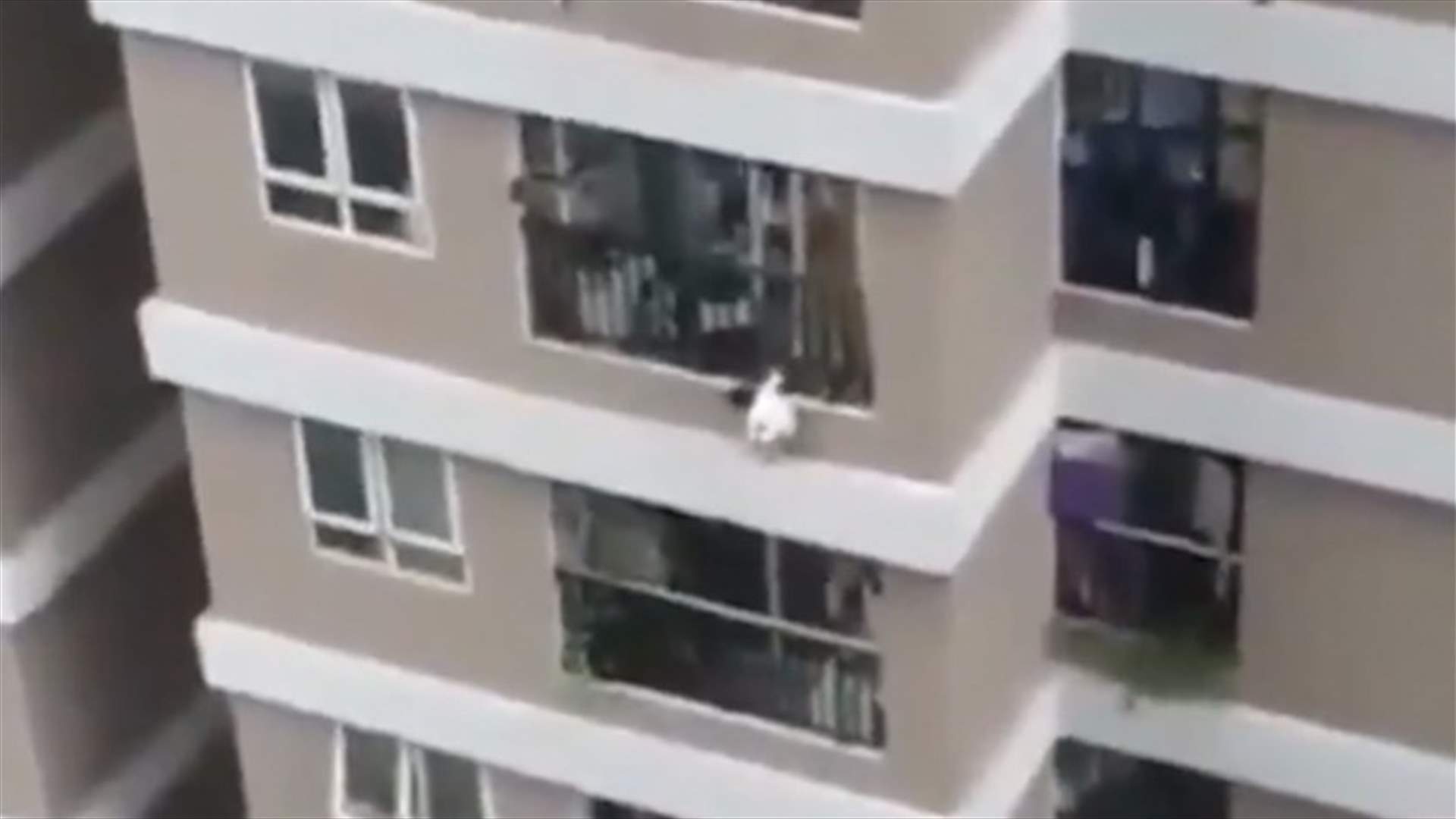 عامل التوصيل البطل... أنقذ طفلة سقطت من الطابق الـ12 في لحظة خاطفة (فيديو)