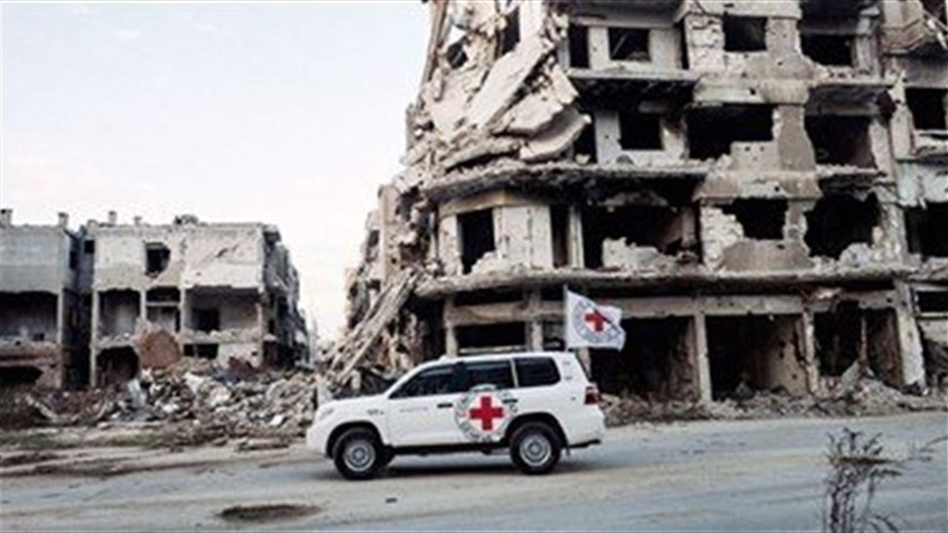 Syrians struggle with food, fuel shortages after decade of war - Red Cross