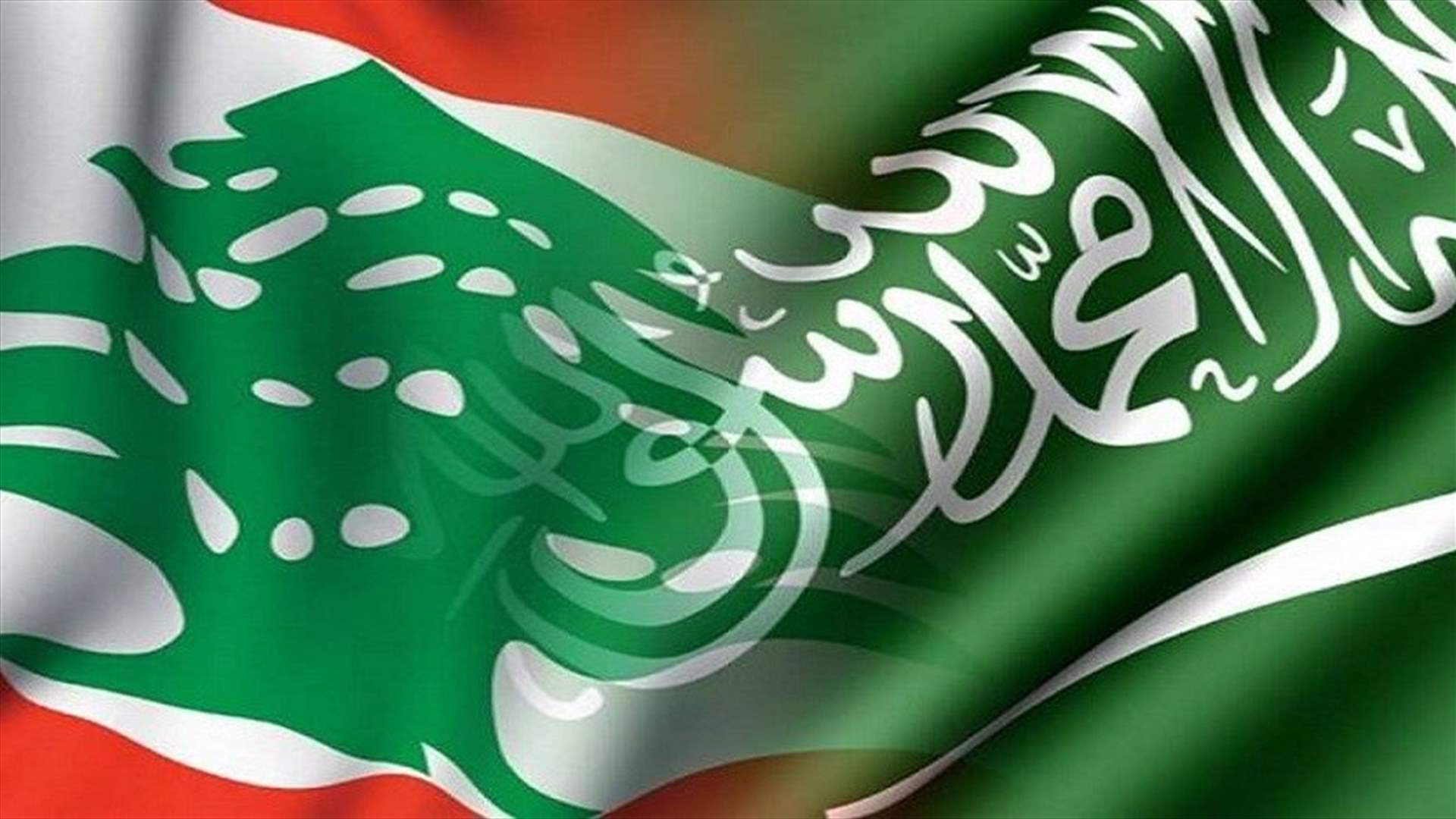 مجلس العمل والاستثمار اللبناني في السعودية: لضرورة التوقف فوراً عن التعرّض للمملكة!