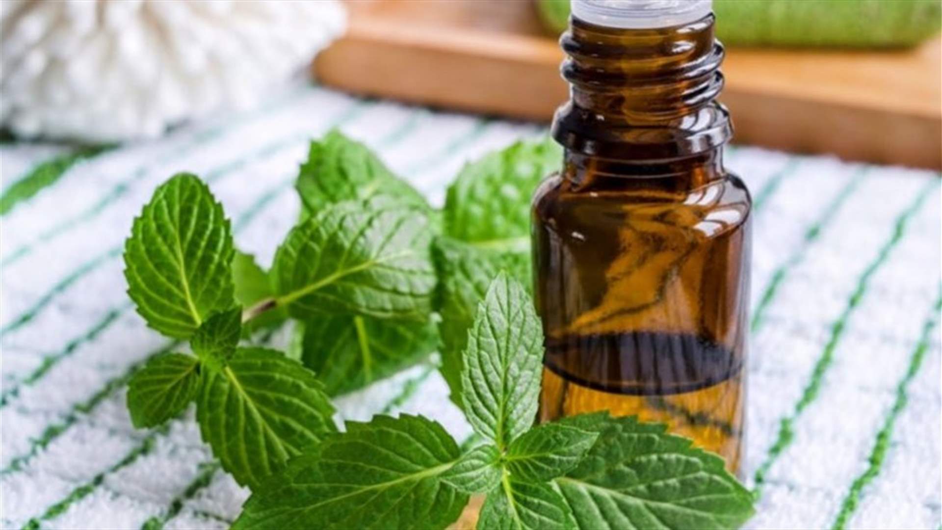 زيت النعناع... رائحة عطرية وفوائد صحية