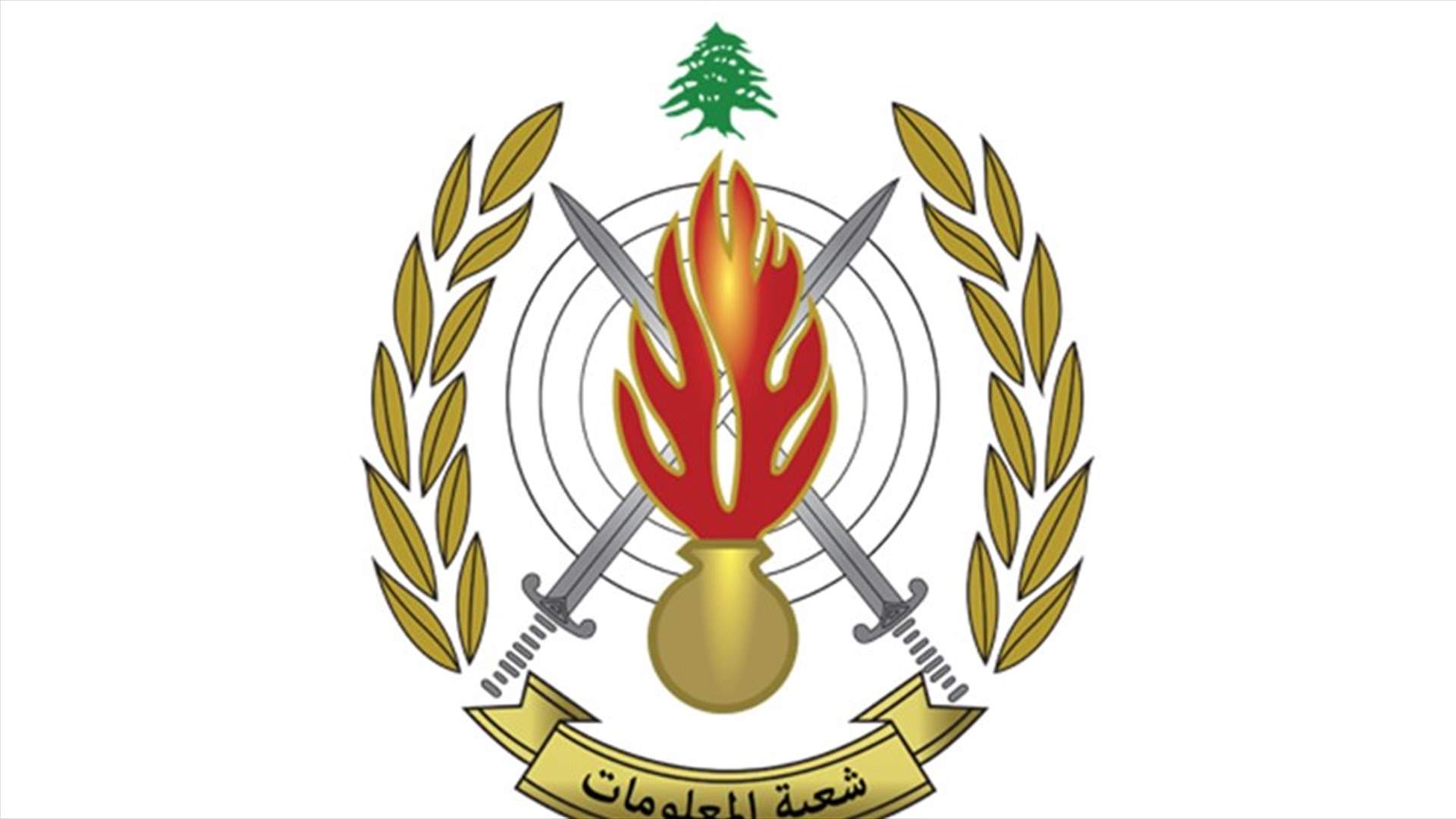 مطلوبان بجرم المخدرات في قبضة المعلومات في البترون