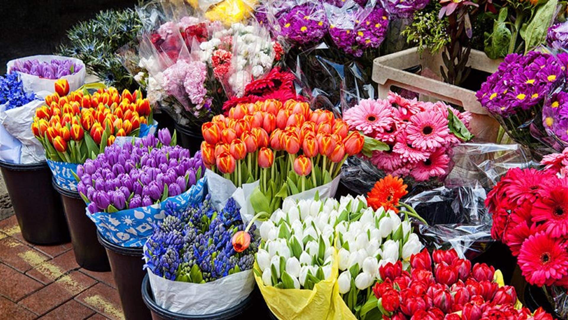 في عيد الأم "يا ورد مين يشتريك"... مصير الزهور إما الذبول إما التلف