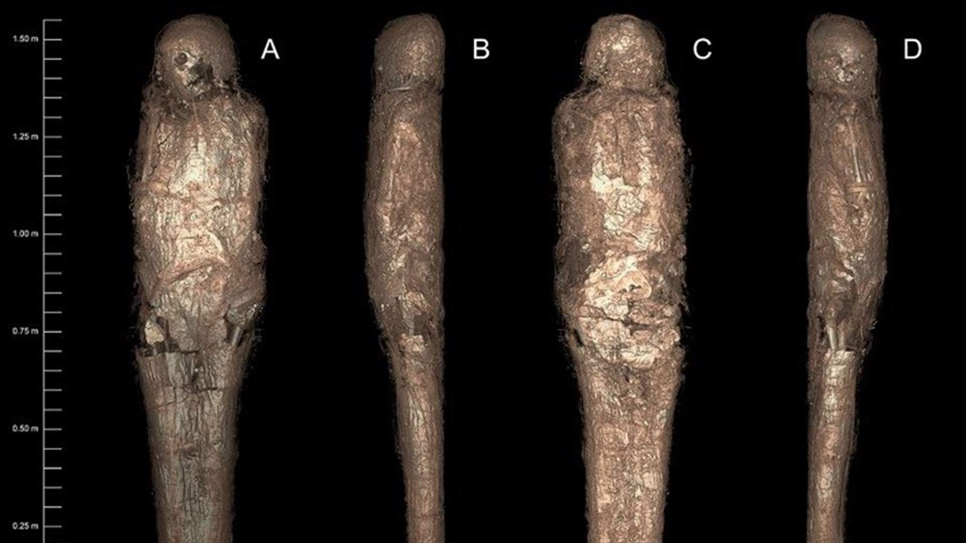 عالمة آثار تكشف عن مومياء محنطة بطرق لم توثق سابقاً في التحنيط المصري