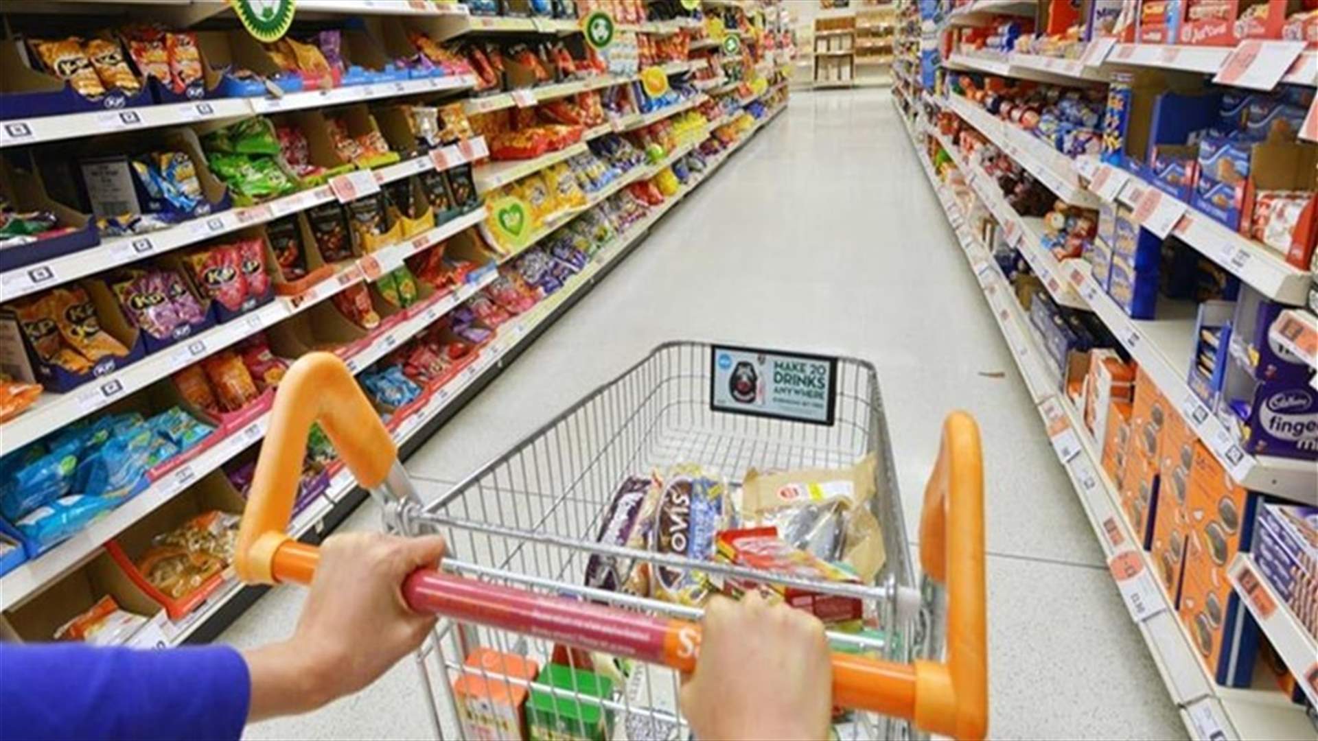 تسطير محضري ضبط بحق مؤسستين في منطقة صيدا