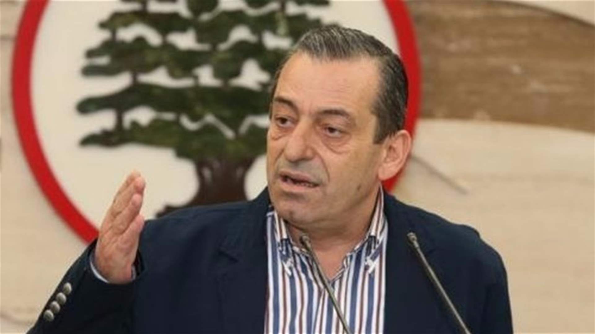 زهرا لـ "الأنباء الكويتية": الحريري يرفض الانتحار السياسي