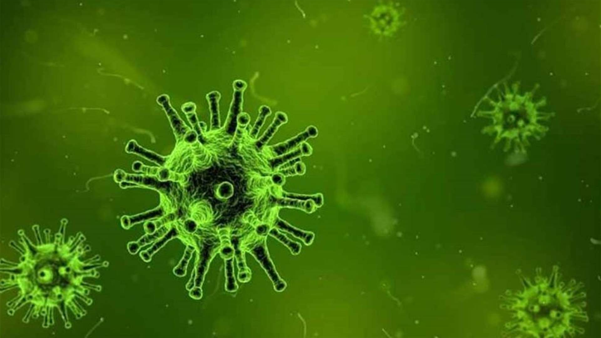 Health Ministry confirms 2213 new Coronavirus cases, 31 more deaths