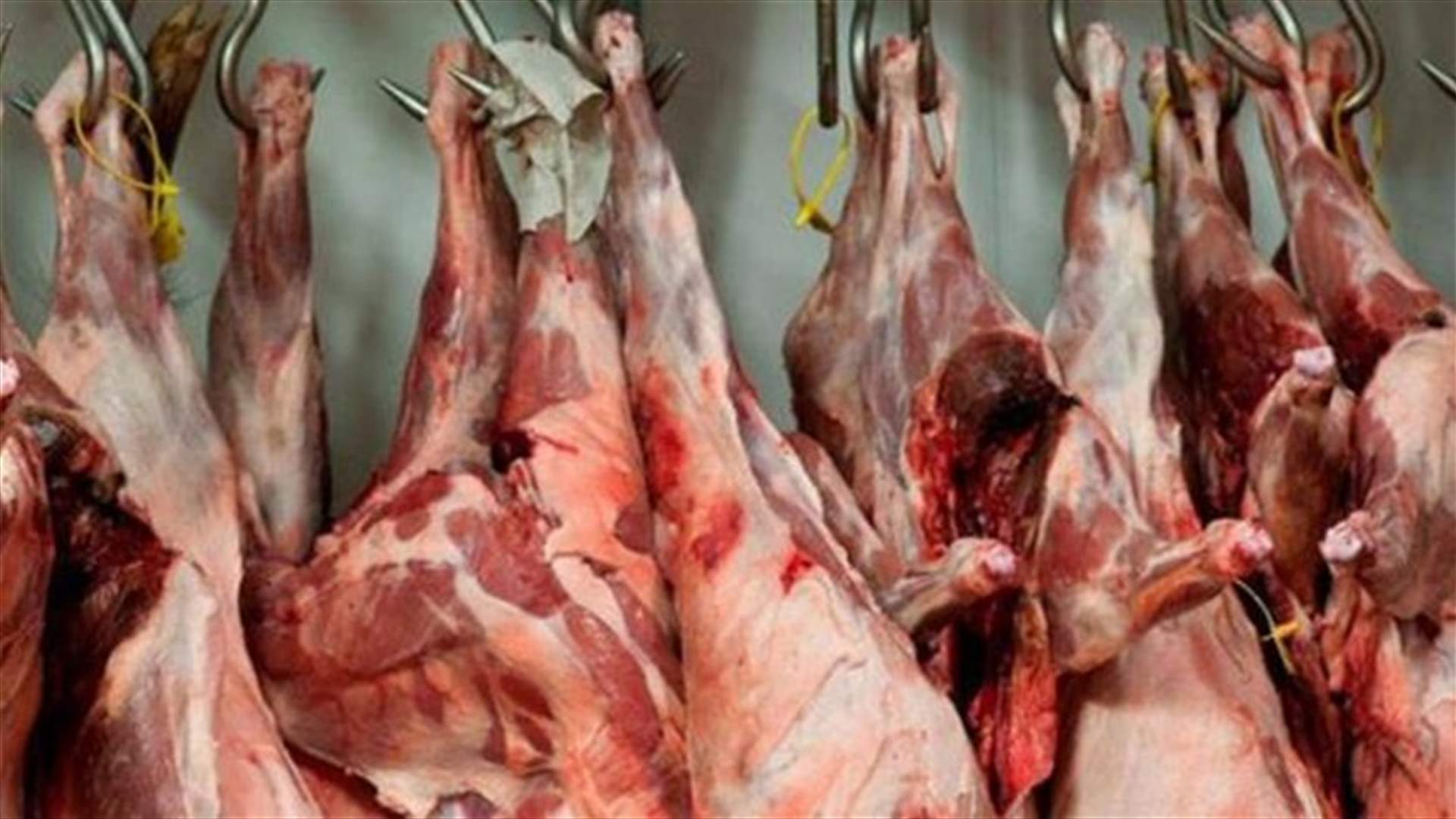 اعتصام لاصحاب المسالخ في صور احتجاجا على عدم اعطائهم اللحوم المدعومة