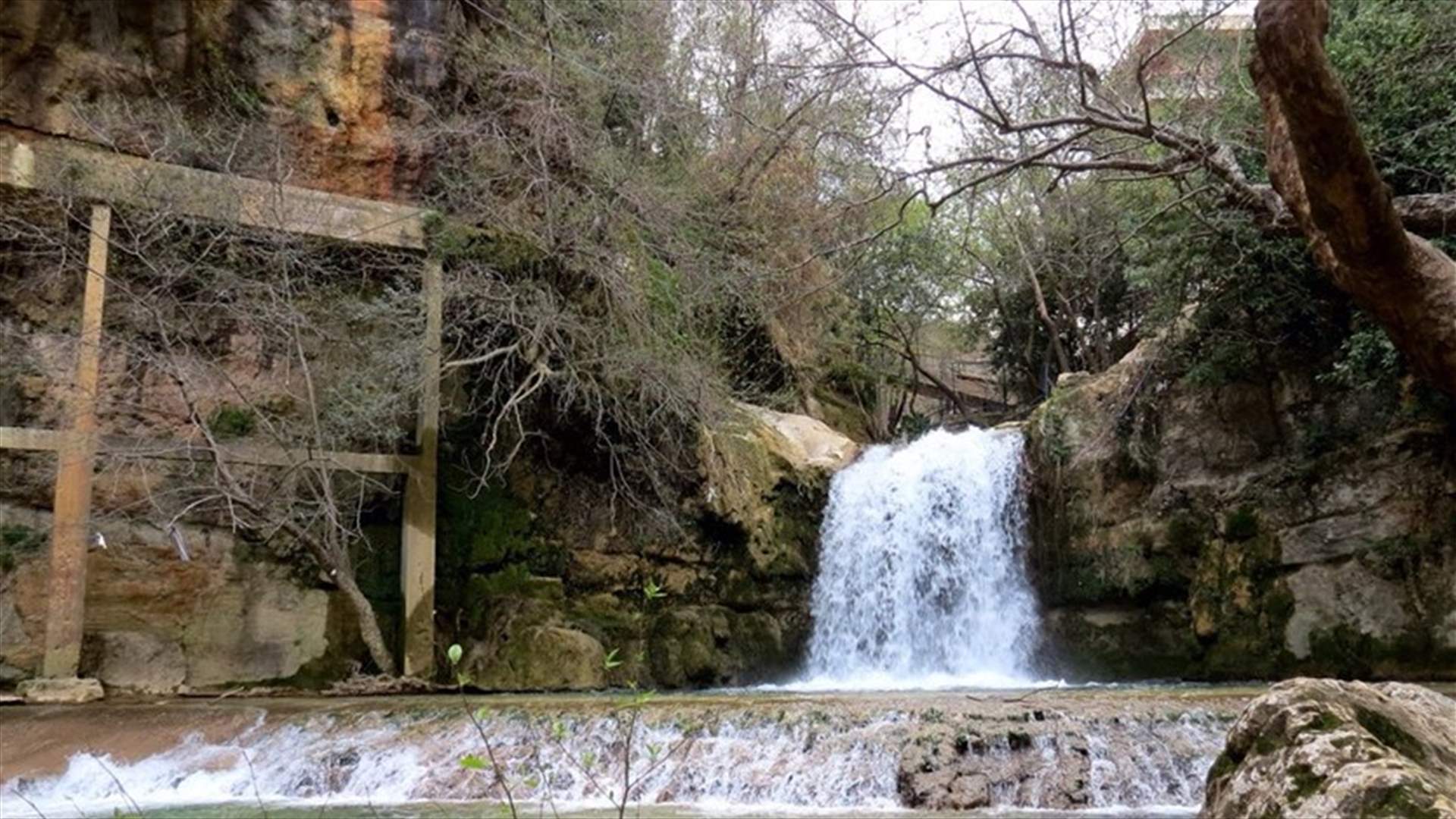 الانقاذ البحري تنقذ فتاة سقطت عن جسر فوق نهر الجاهلية