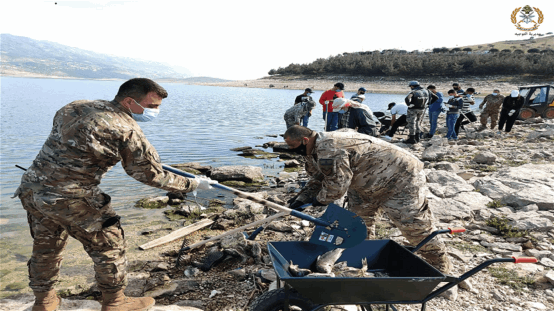 الجيش يشارك في عملية إزالة الاسماك النافقة عن ضفة بحيرة القرعون (صور)