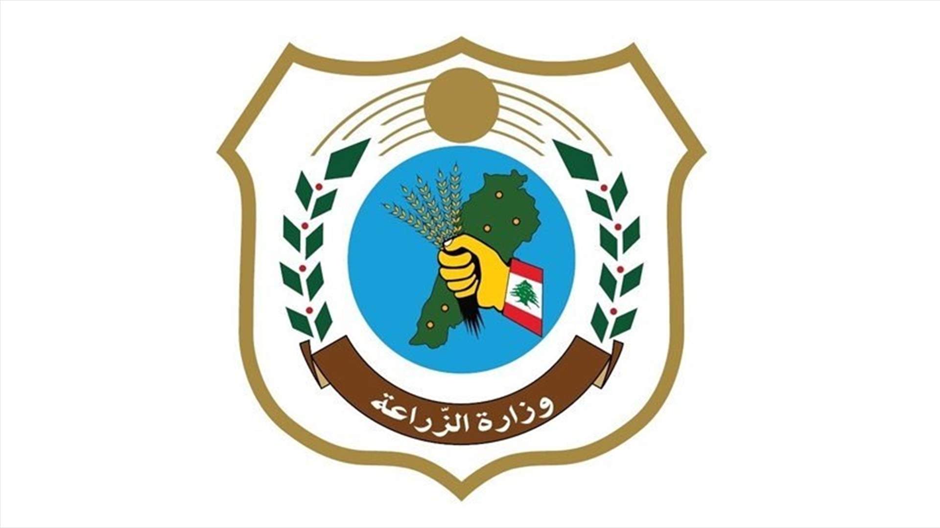 وزارة الزراعة تعلن السيطرة على الموجة الحالية للجراد