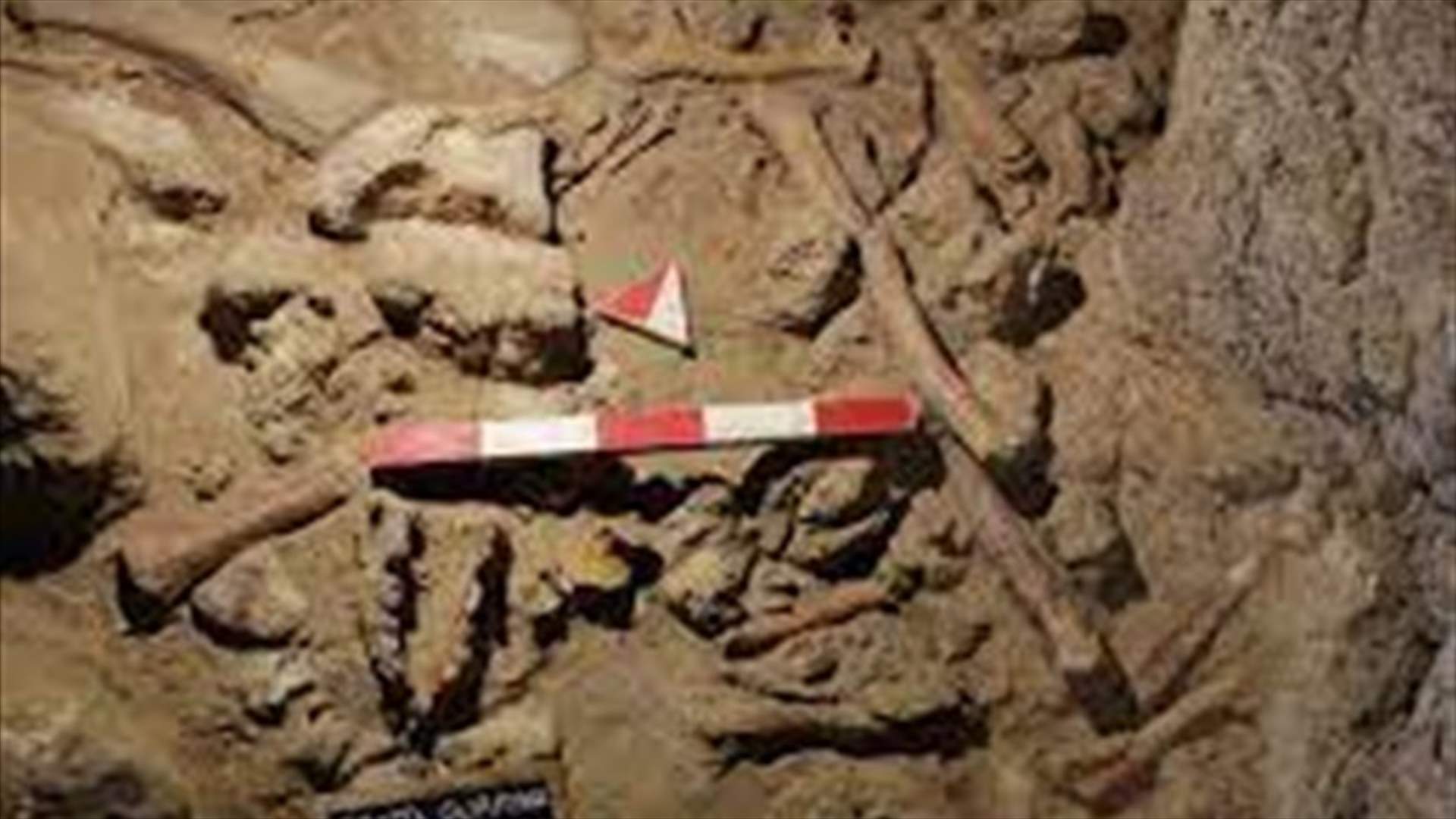 تعود إلى ما بين 50 ومئة ألف عام...علماء آثار يكتشفون رفات تسعة من الإنسان البدائي بكهوف قرب روما