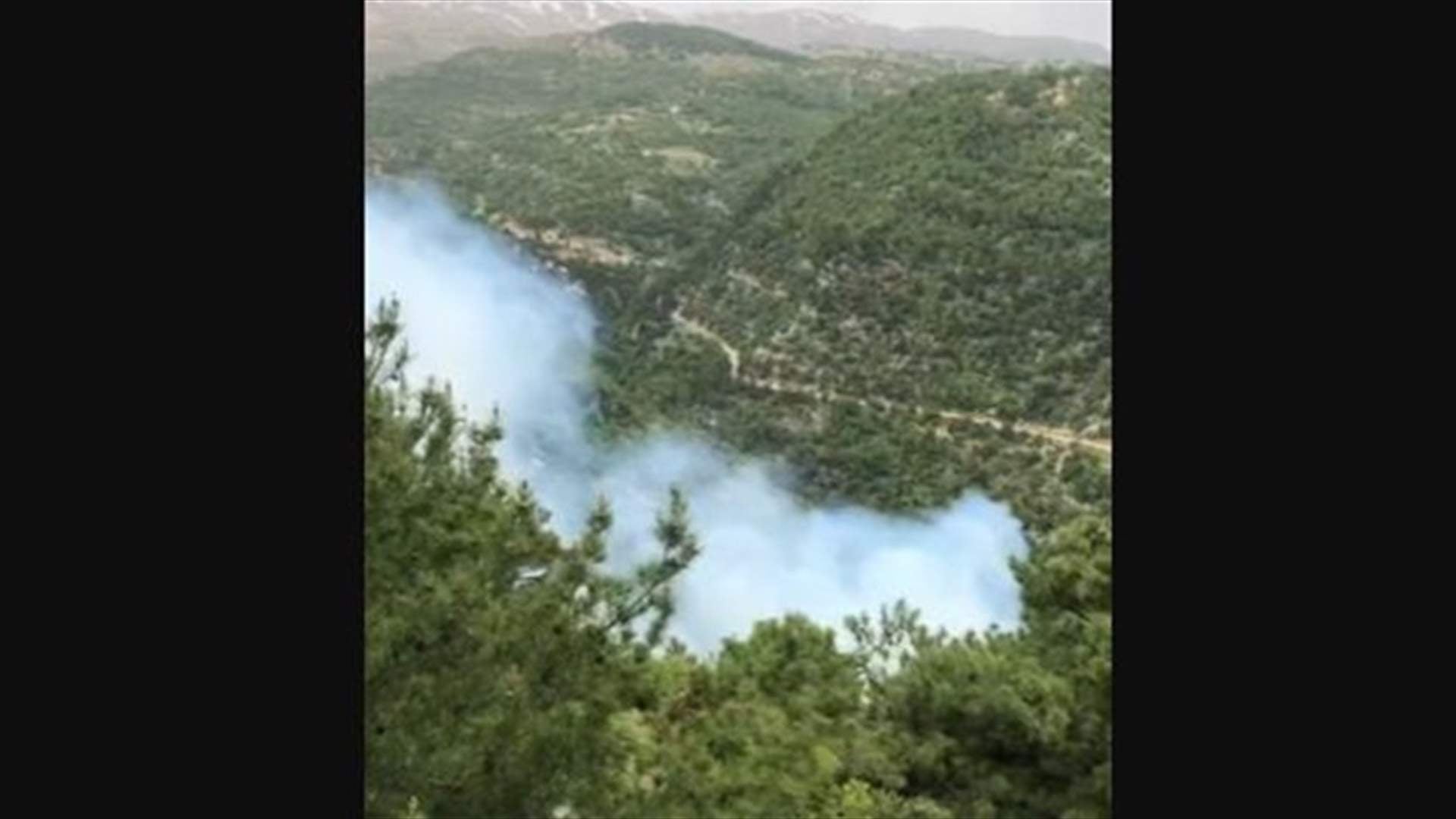 حريق في الضنية ونداءات إستغاثة
