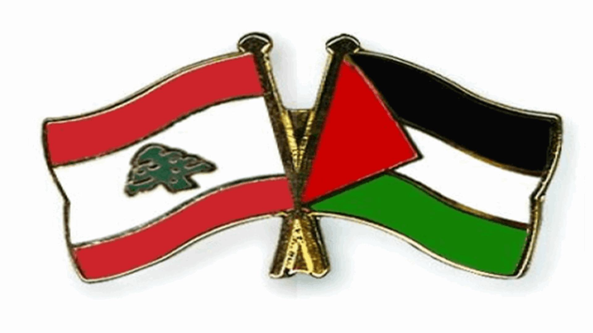 مسيرة سيارة جابت شوارع بيروت دعما لانتفاضة القدس (صور)