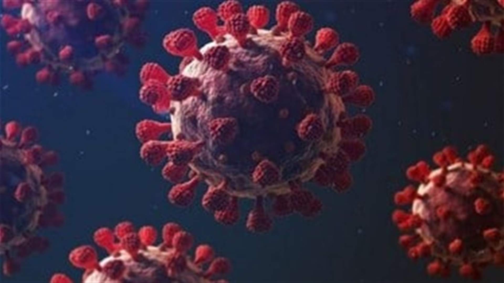 Health Ministry confirms 544 new Coronavirus cases, 20 more deaths