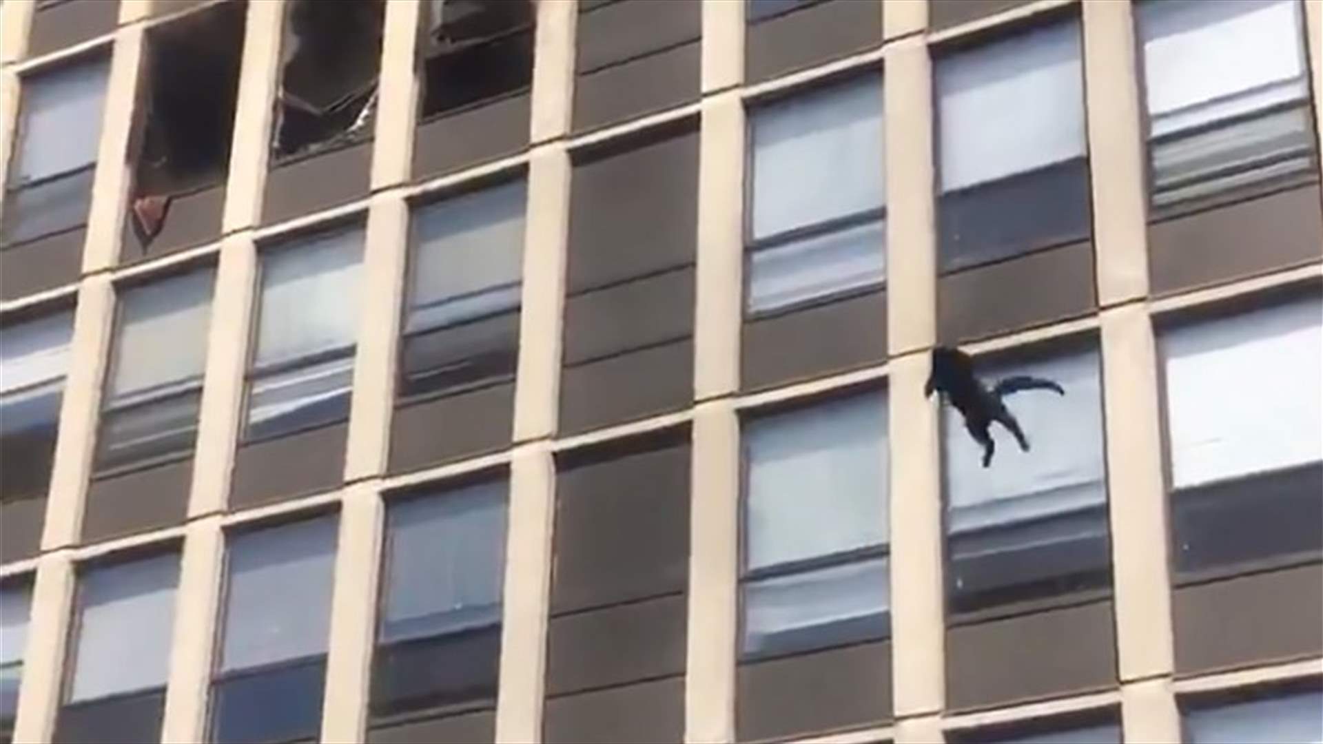 بالفيديو... هرّ يقفز من مبنى لينقذ نفسه من الحريق!