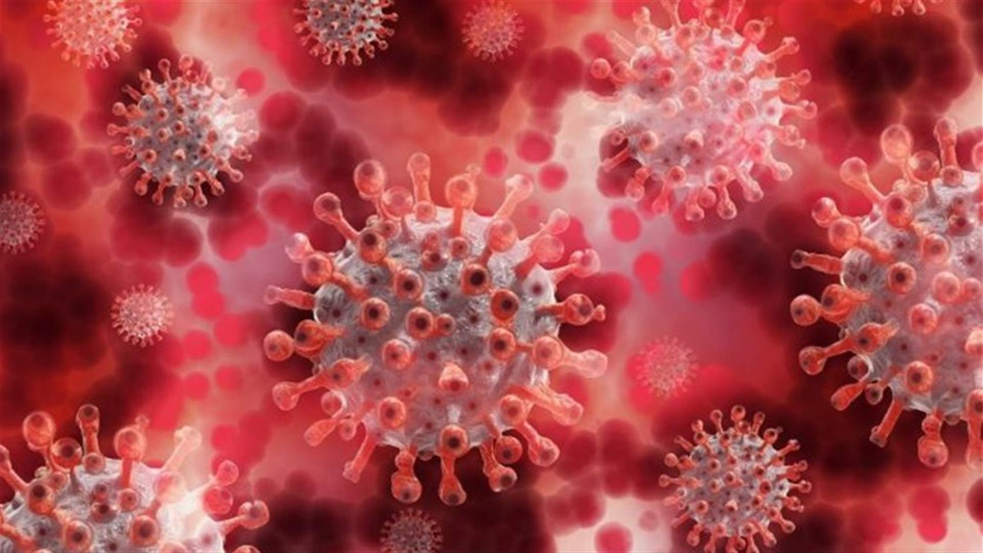 The daily report on coronavirus in Lebanon