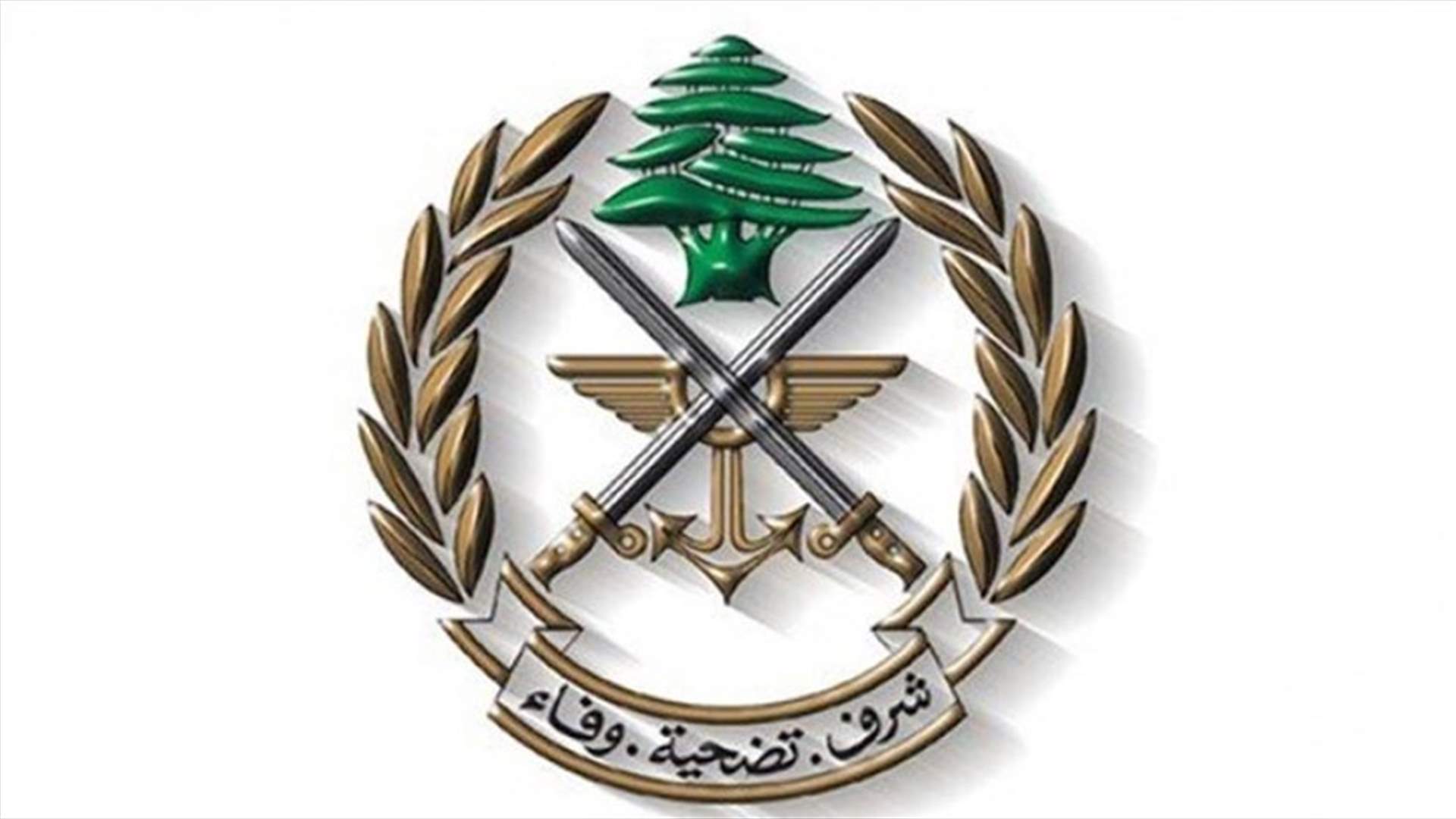 الجيش: طيران ليلي بين القواعد الجوية حتى 21 الحالي