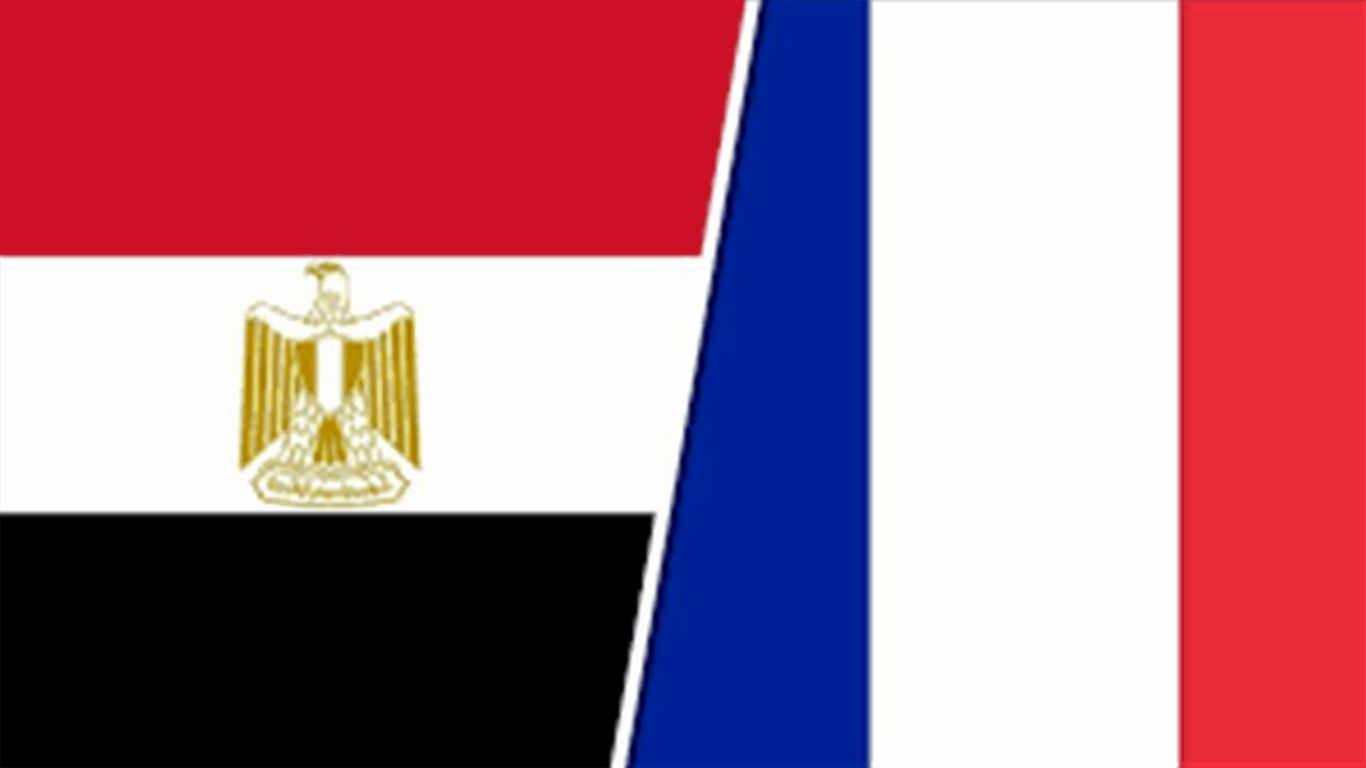 فرنسا ومصر تعملان على وقف إطلاق النار في غزة